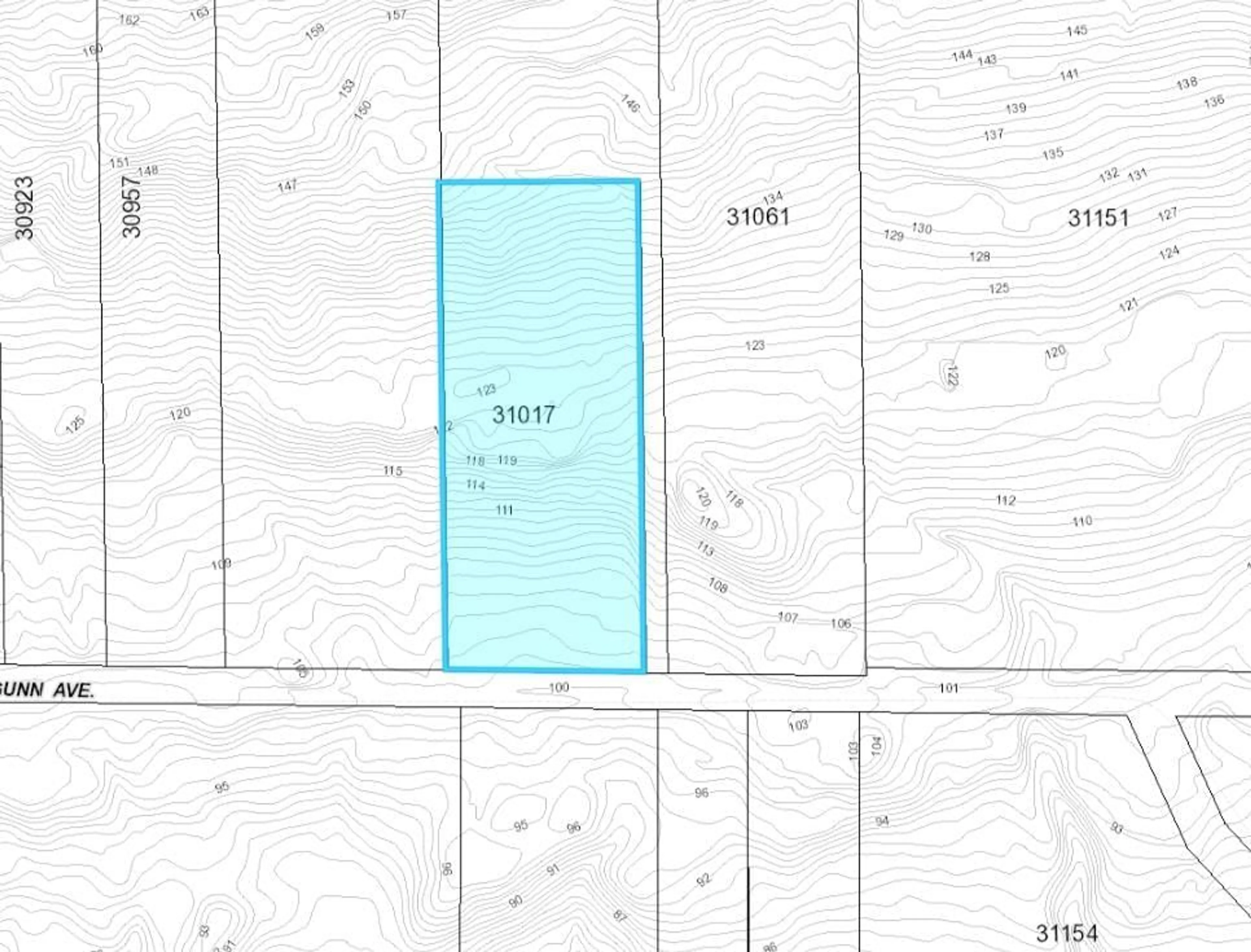 Picture of a map for 31017 GUNN AVENUE, Mission British Columbia V4S1J7