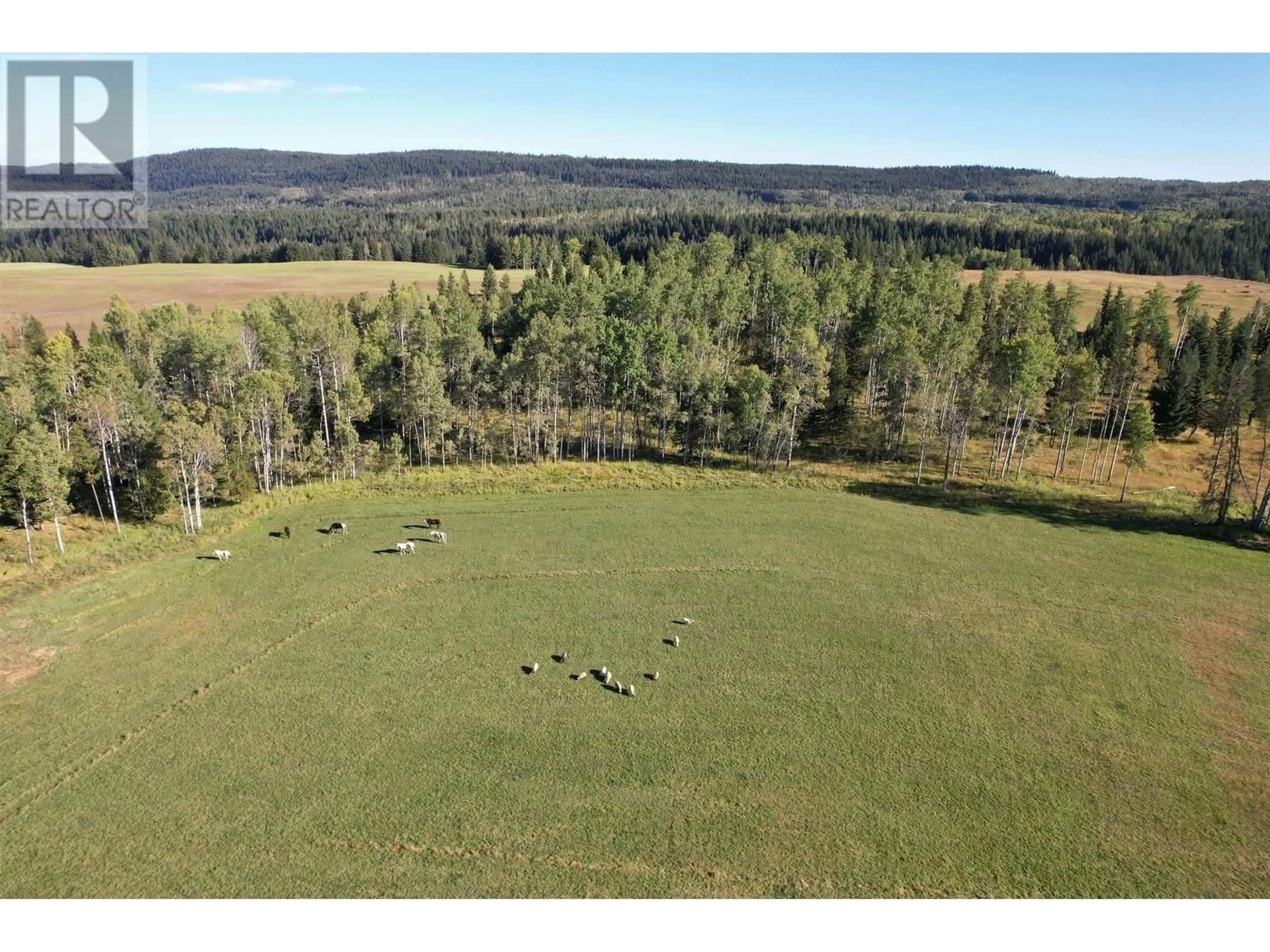 A pic from outside/outdoor area/front of a property/back of a property/a pic from drone, forest/trees view for 4635 CANIM-HENDRIX LAKE ROAD, Forest Grove British Columbia V0K1M0