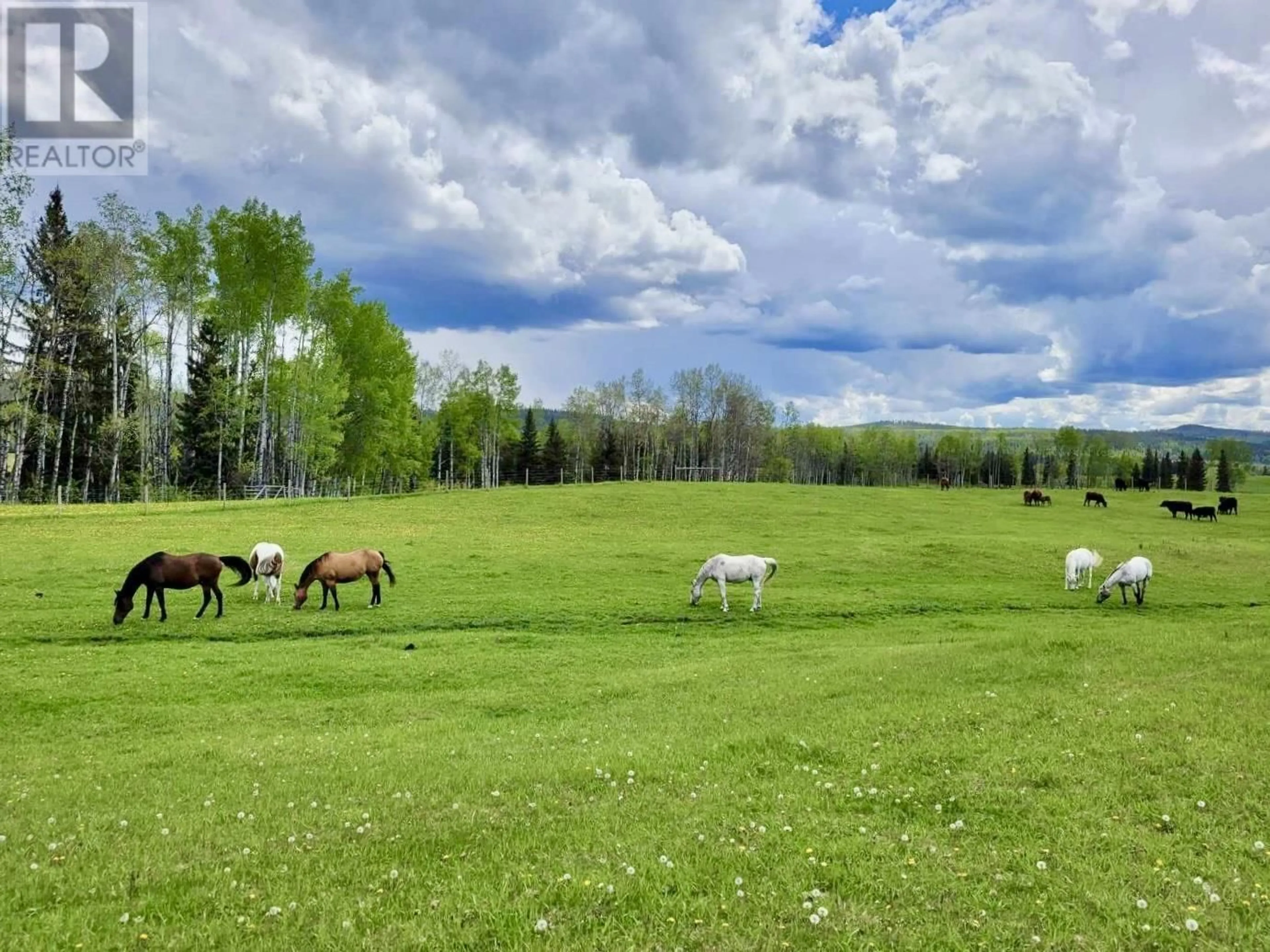 A pic from outside/outdoor area/front of a property/back of a property/a pic from drone, mountain view for 4635 CANIM-HENDRIX LAKE ROAD, Forest Grove British Columbia V0K1M0