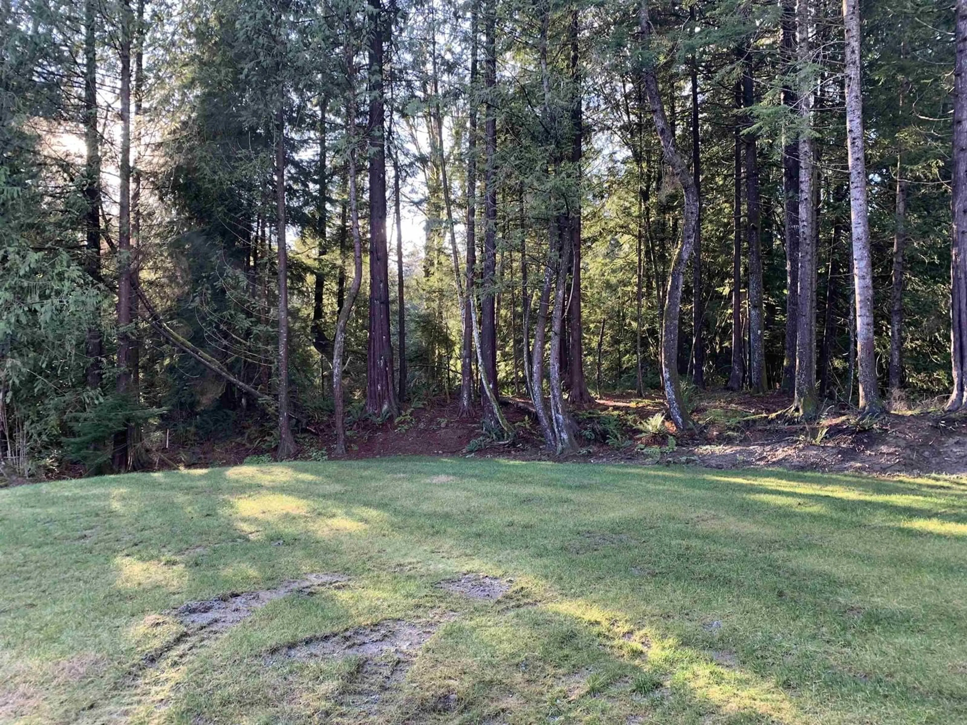 A pic from outside/outdoor area/front of a property/back of a property/a pic from drone, forest/trees view for 34288-34292 FERNDALE AVENUE, Mission British Columbia V2V6B2