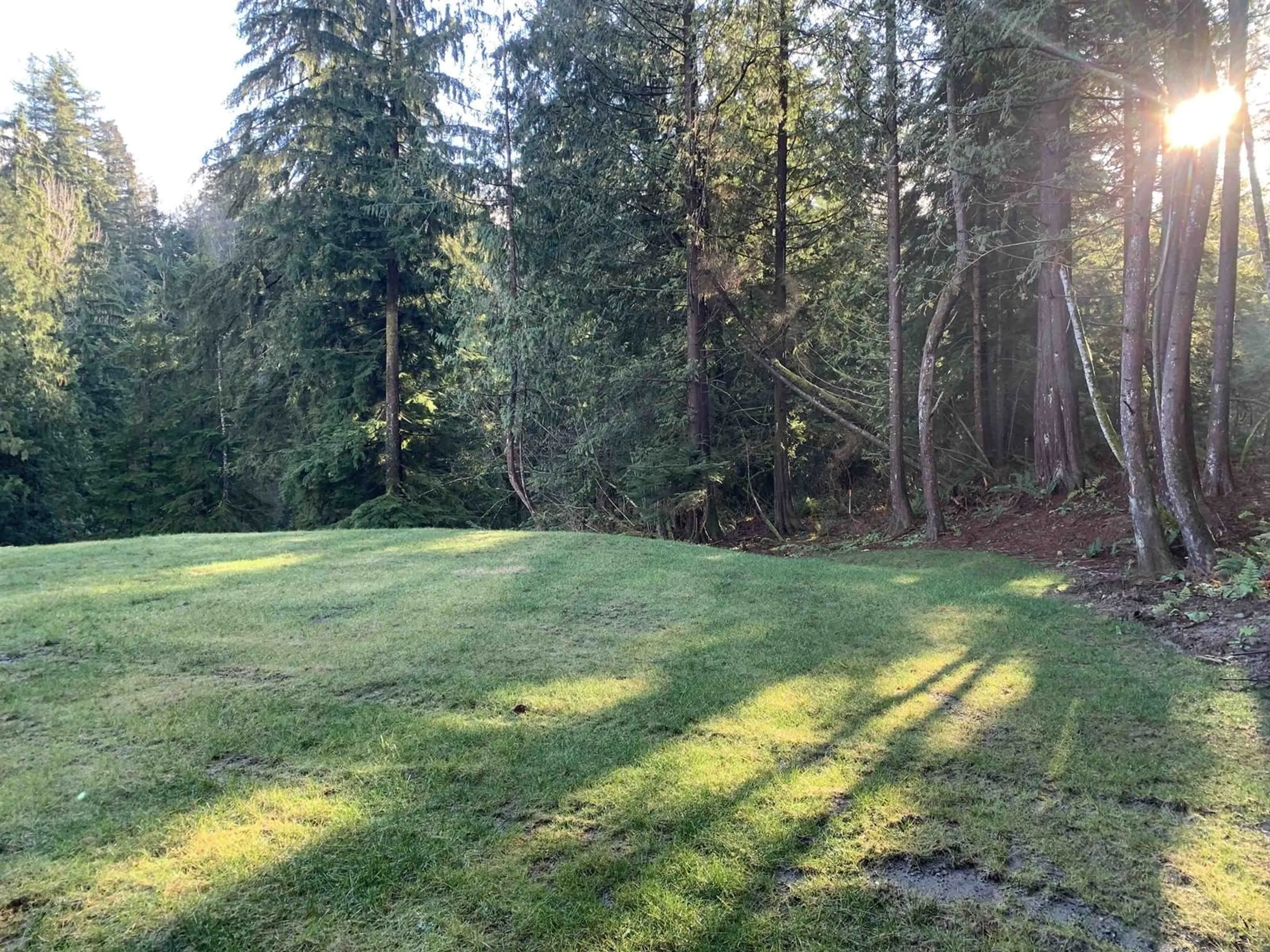 A pic from outside/outdoor area/front of a property/back of a property/a pic from drone, forest/trees view for 34288-34292 FERNDALE AVENUE, Mission British Columbia V2V6B2