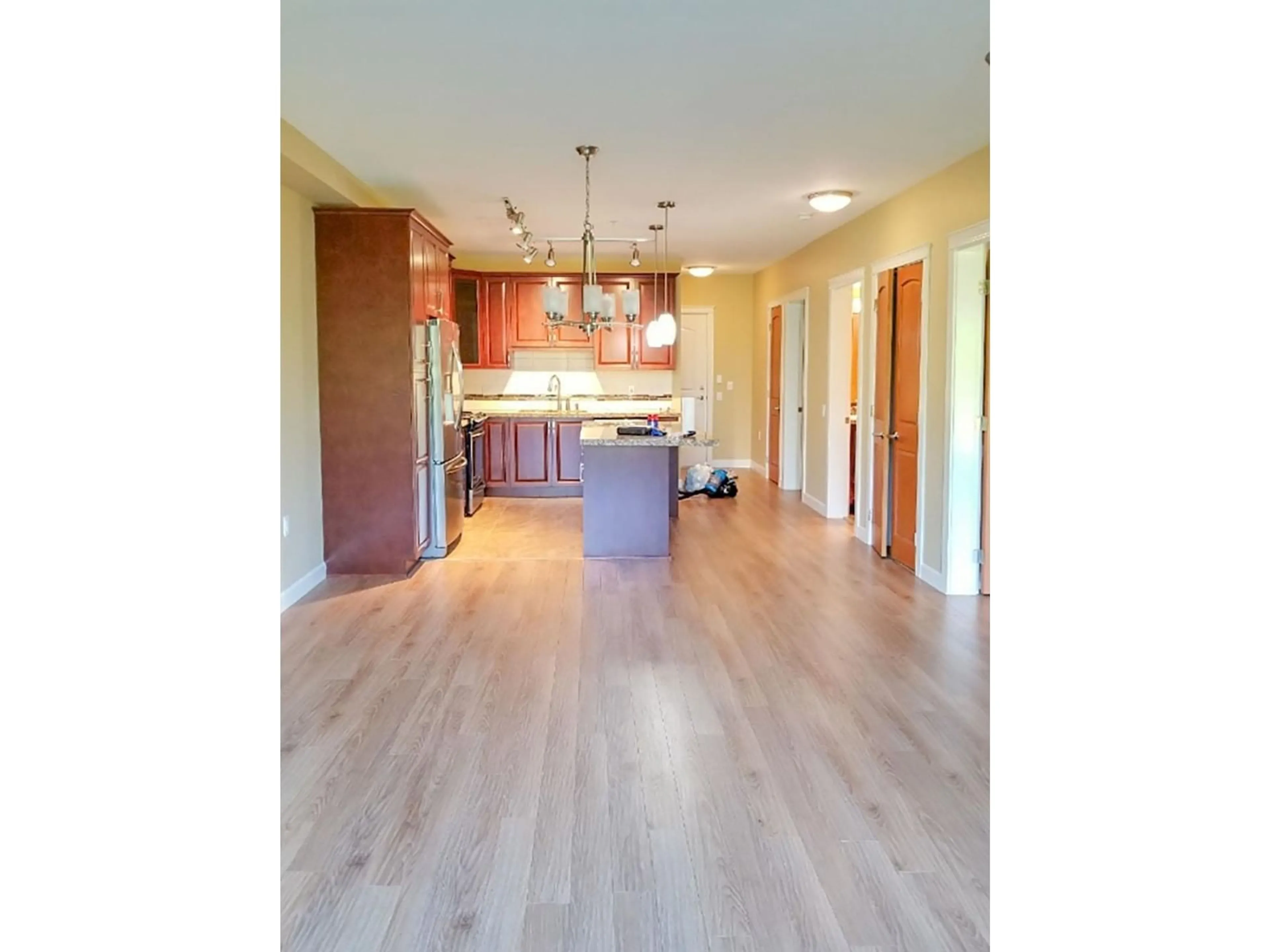 Open concept kitchen, wood/laminate floor for 314 8157 207 STREET, Langley British Columbia V2Y0V4