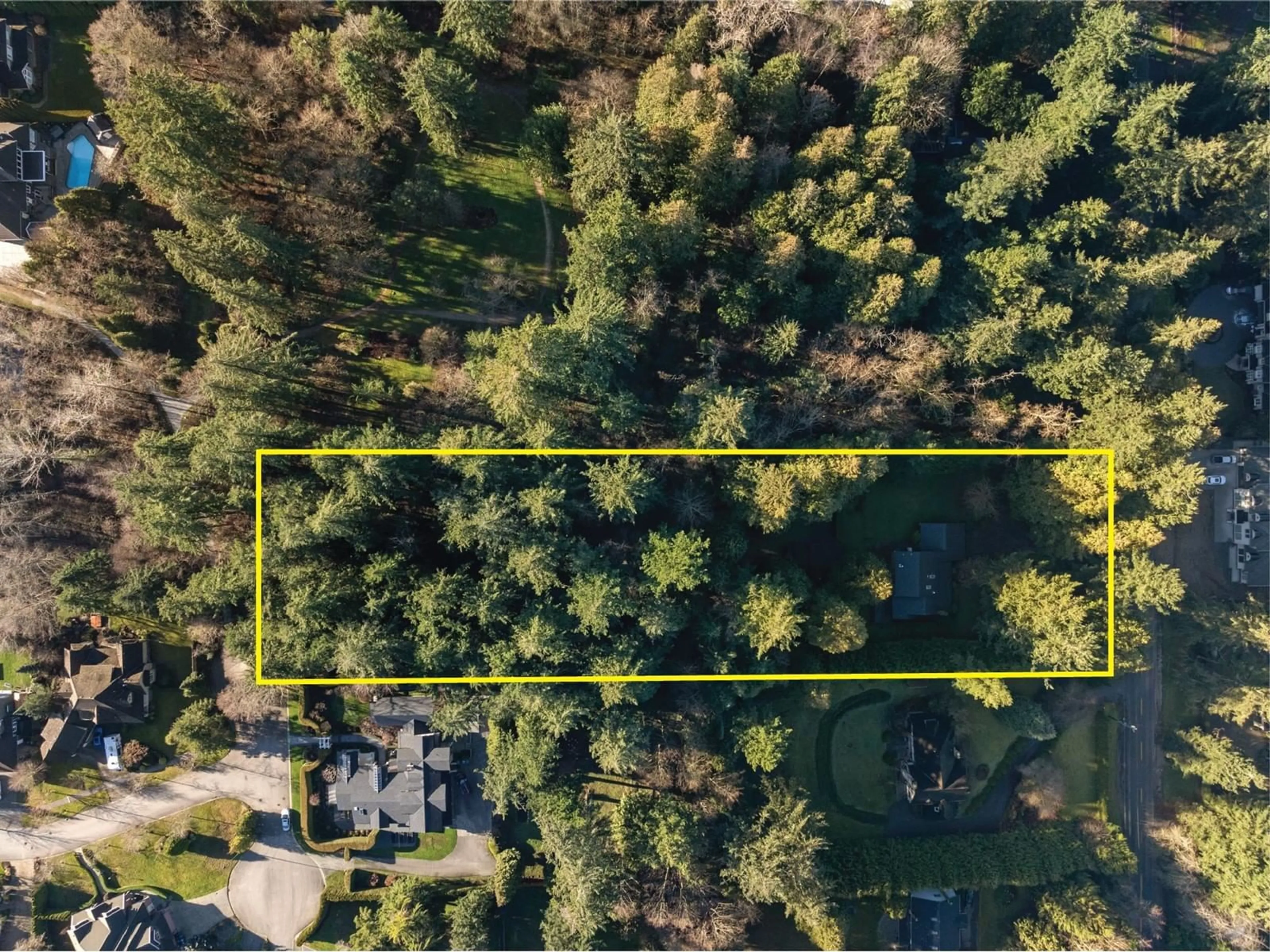 A pic from outside/outdoor area/front of a property/back of a property/a pic from drone, forest/trees view for 13912 28 AVENUE, Surrey British Columbia V4P1T4