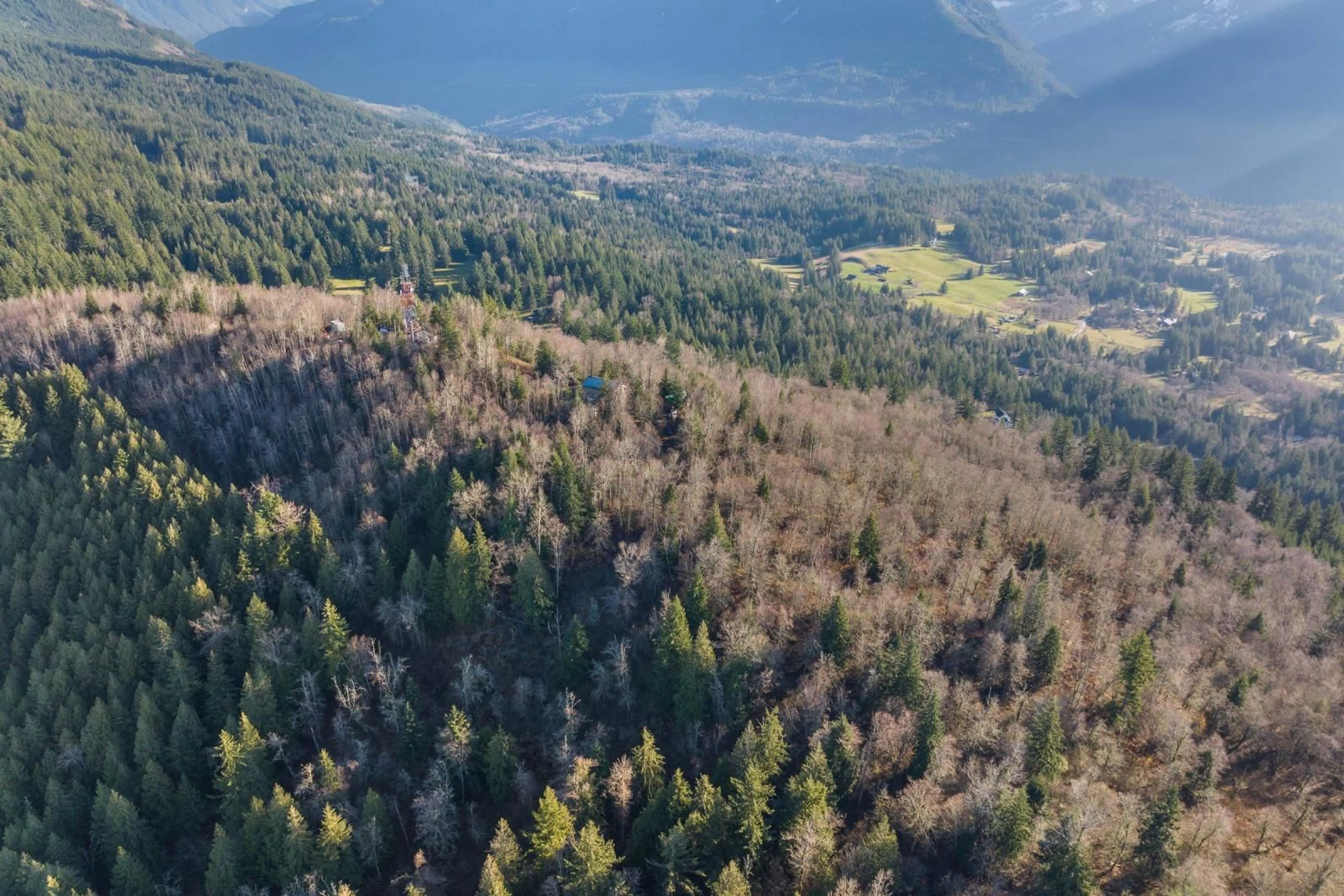 A pic from outside/outdoor area/front of a property/back of a property/a pic from drone, forest/trees view for 49780 LOOKOUT ROAD|Ryder Lake, Chilliwack British Columbia V4Z1A5