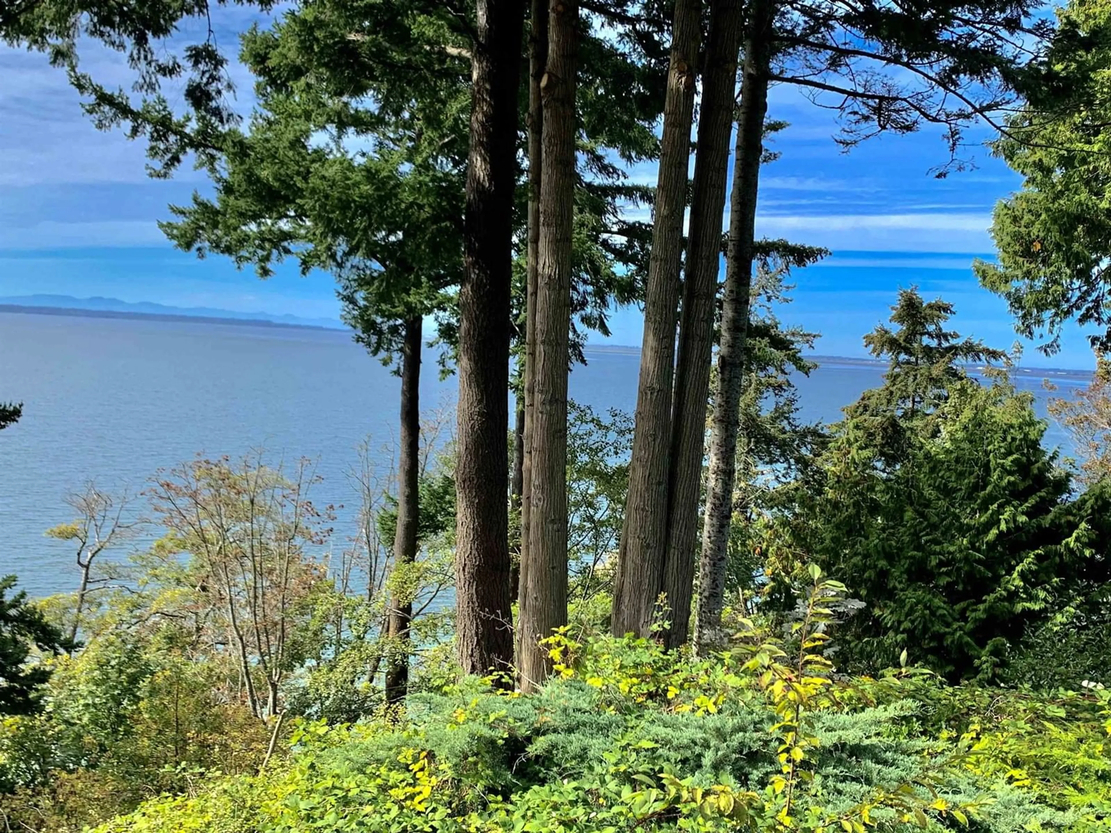 A pic from outside/outdoor area/front of a property/back of a property/a pic from drone, water/lake/river/ocean view for 12581 16 AVENUE, Surrey British Columbia V4A1M7