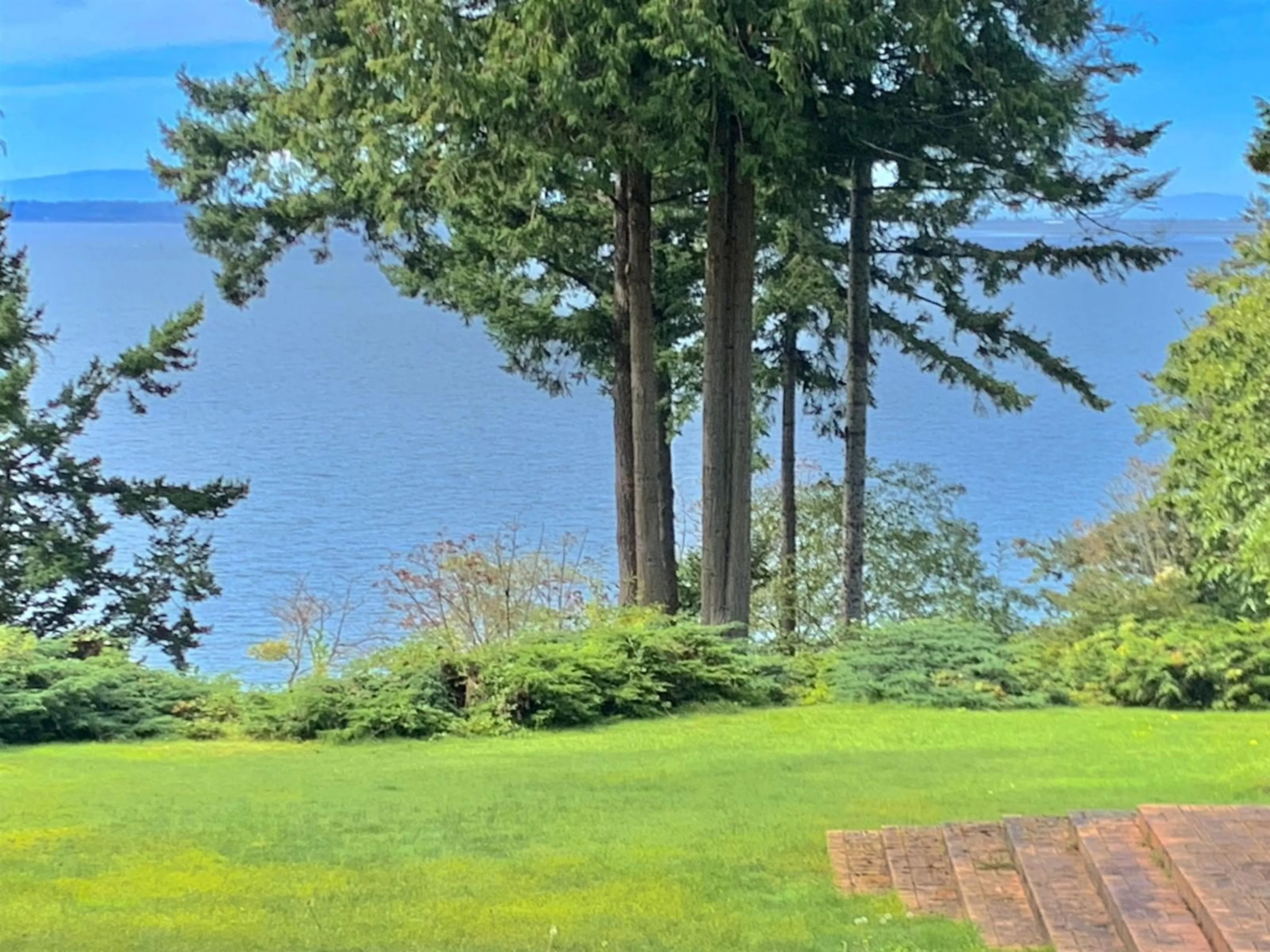 A pic from outside/outdoor area/front of a property/back of a property/a pic from drone, forest/trees view for 12581 16 AVENUE, Surrey British Columbia V4A1M7