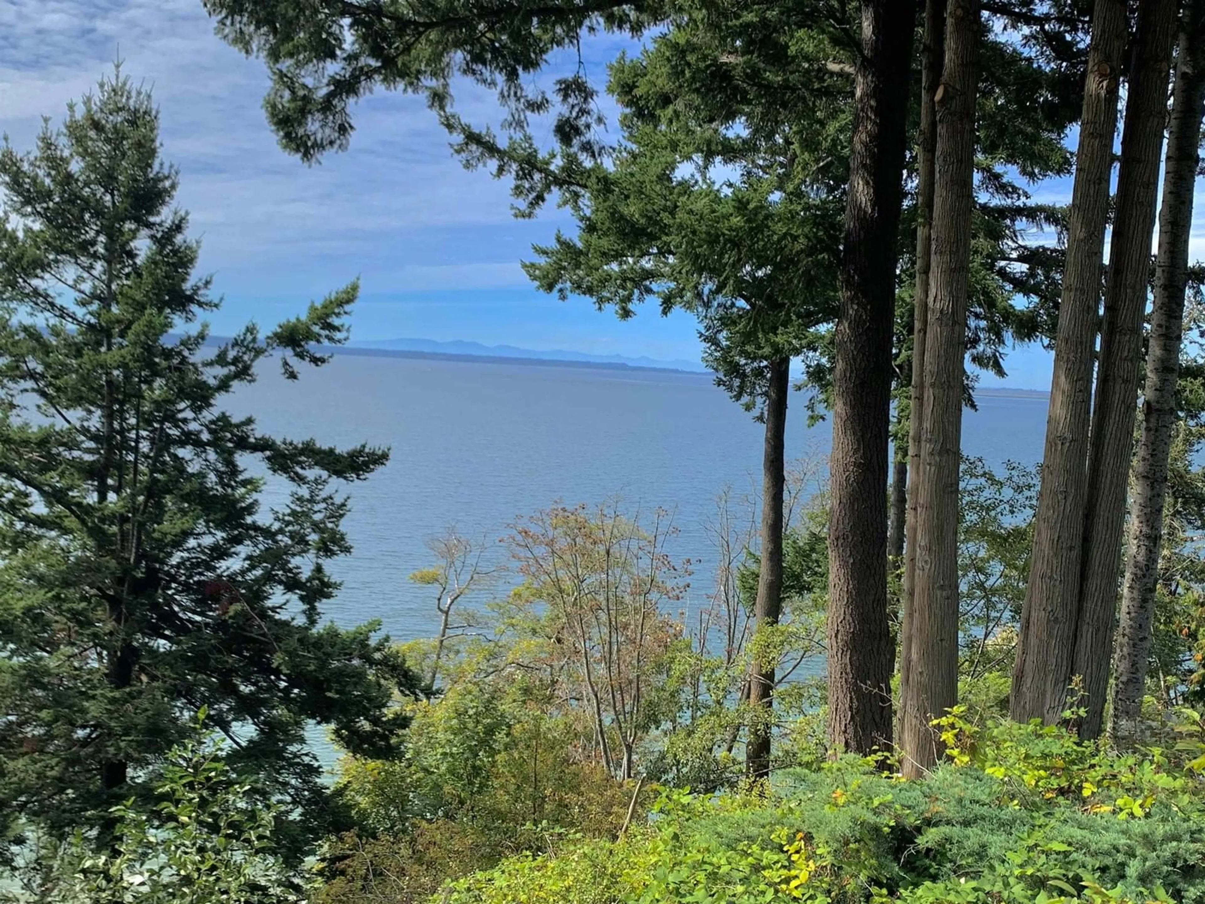 A pic from outside/outdoor area/front of a property/back of a property/a pic from drone, water/lake/river/ocean view for 12581 16 AVENUE, Surrey British Columbia V4A1M7