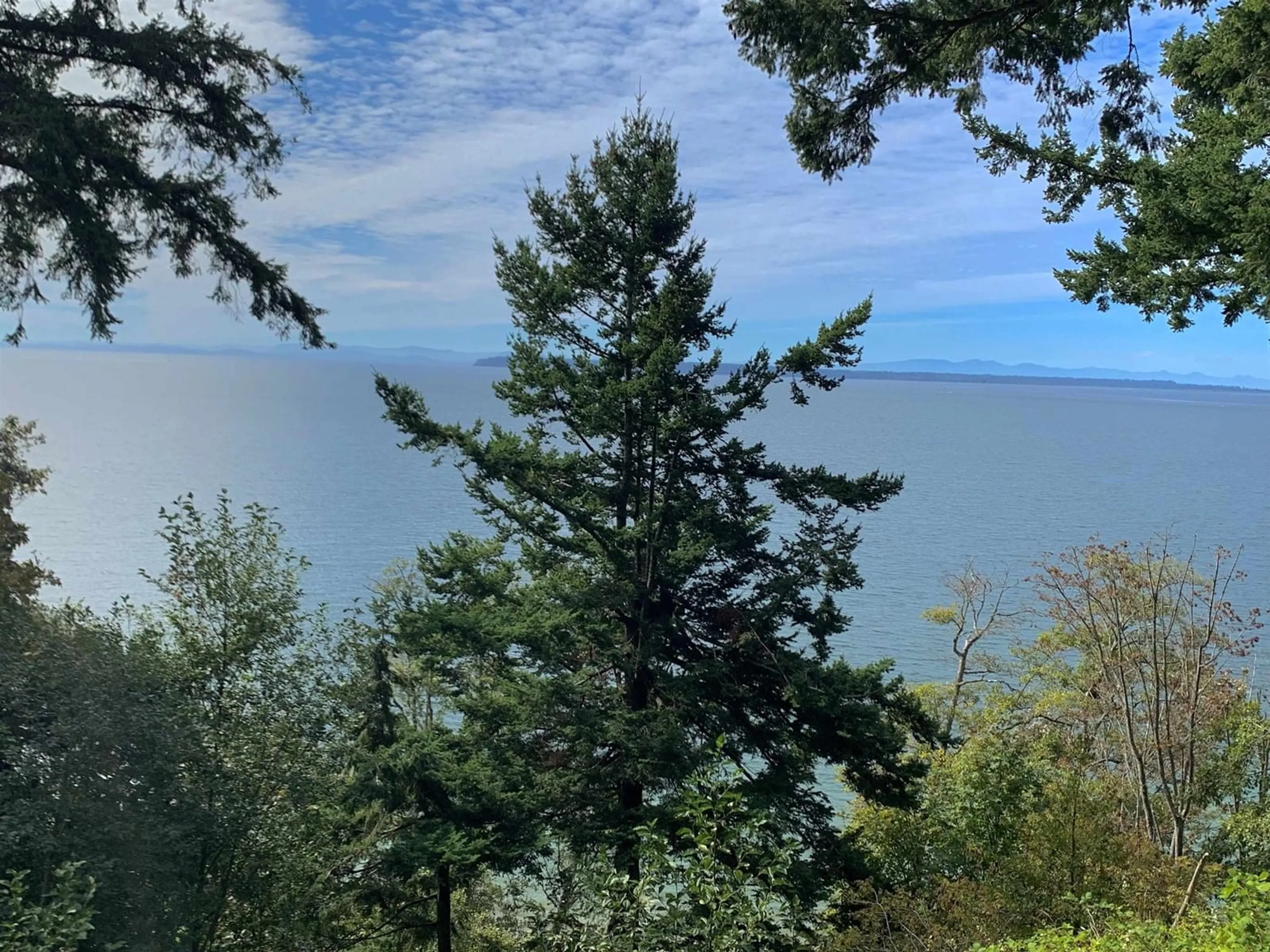 A pic from outside/outdoor area/front of a property/back of a property/a pic from drone, water/lake/river/ocean view for 12581 16 AVENUE, Surrey British Columbia V4A1M7