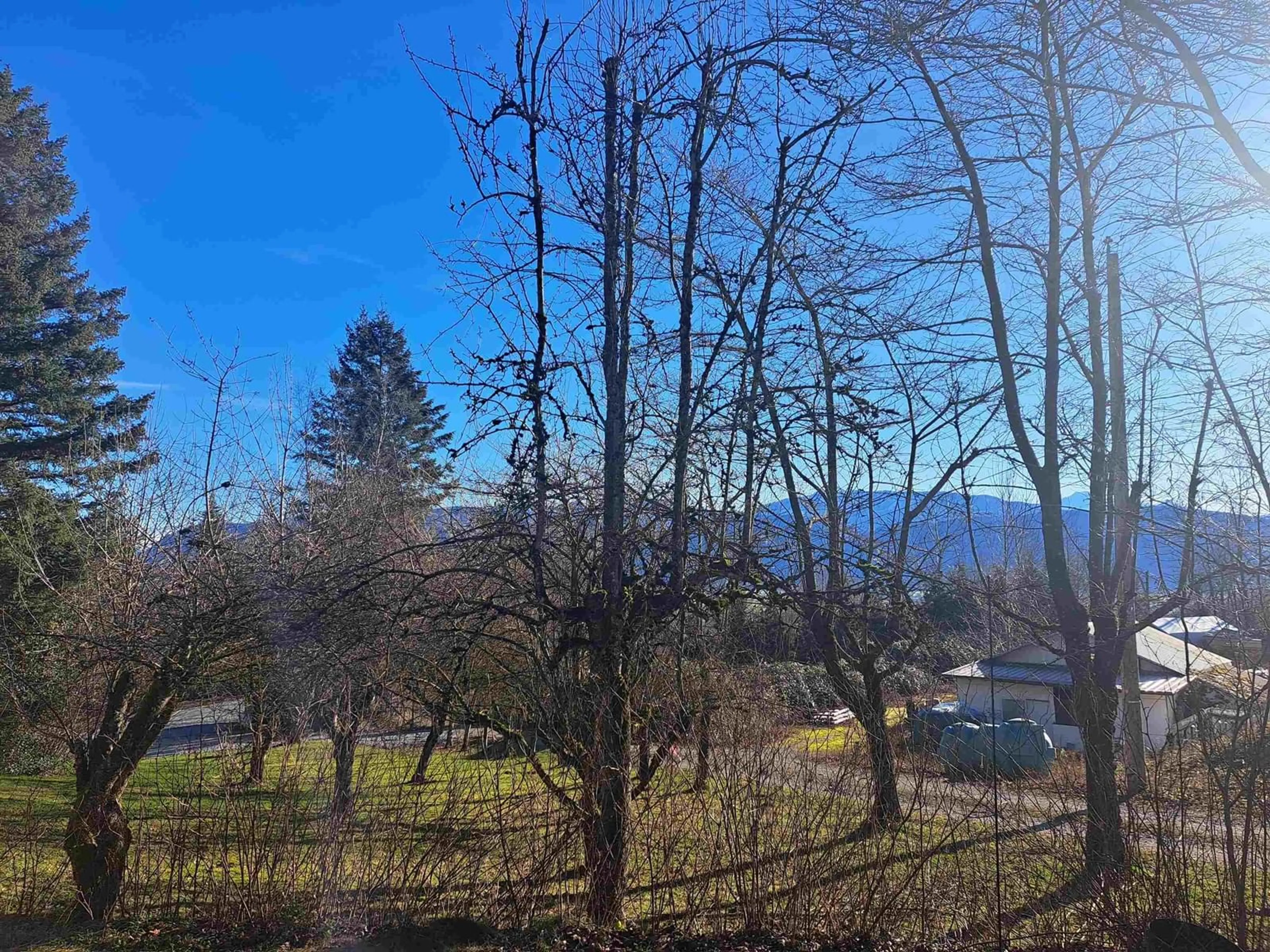 A pic from outside/outdoor area/front of a property/back of a property/a pic from drone, forest/trees view for 37318 WARD ROAD, Abbotsford British Columbia V3G2K6