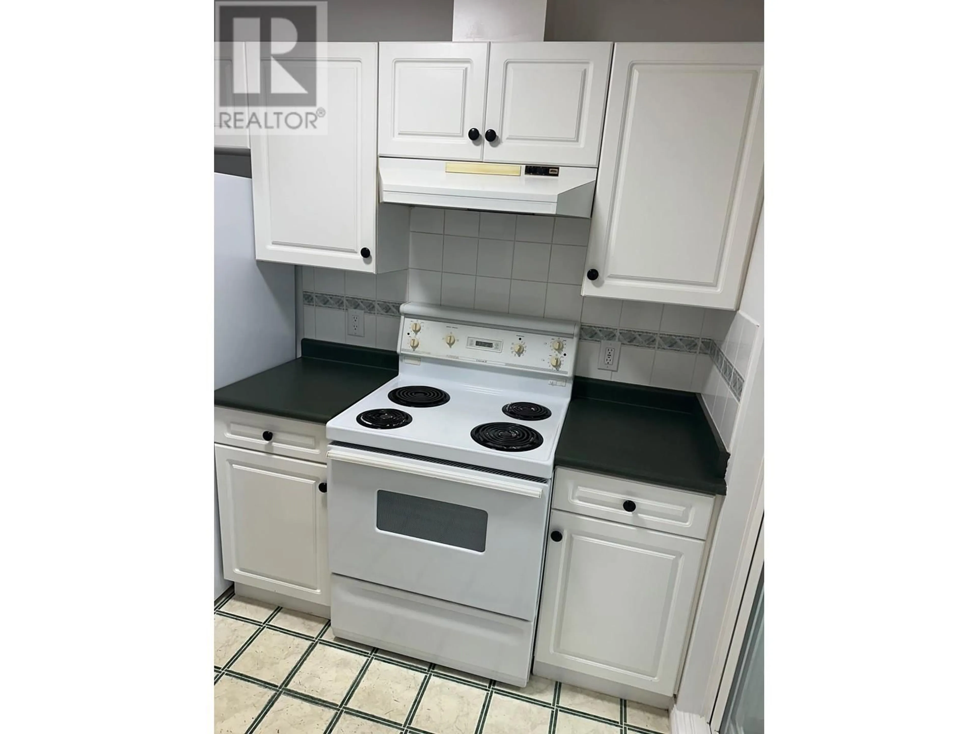 Standard kitchen, unknown for 206 688 E 56TH AVENUE, Vancouver British Columbia V5X1R7