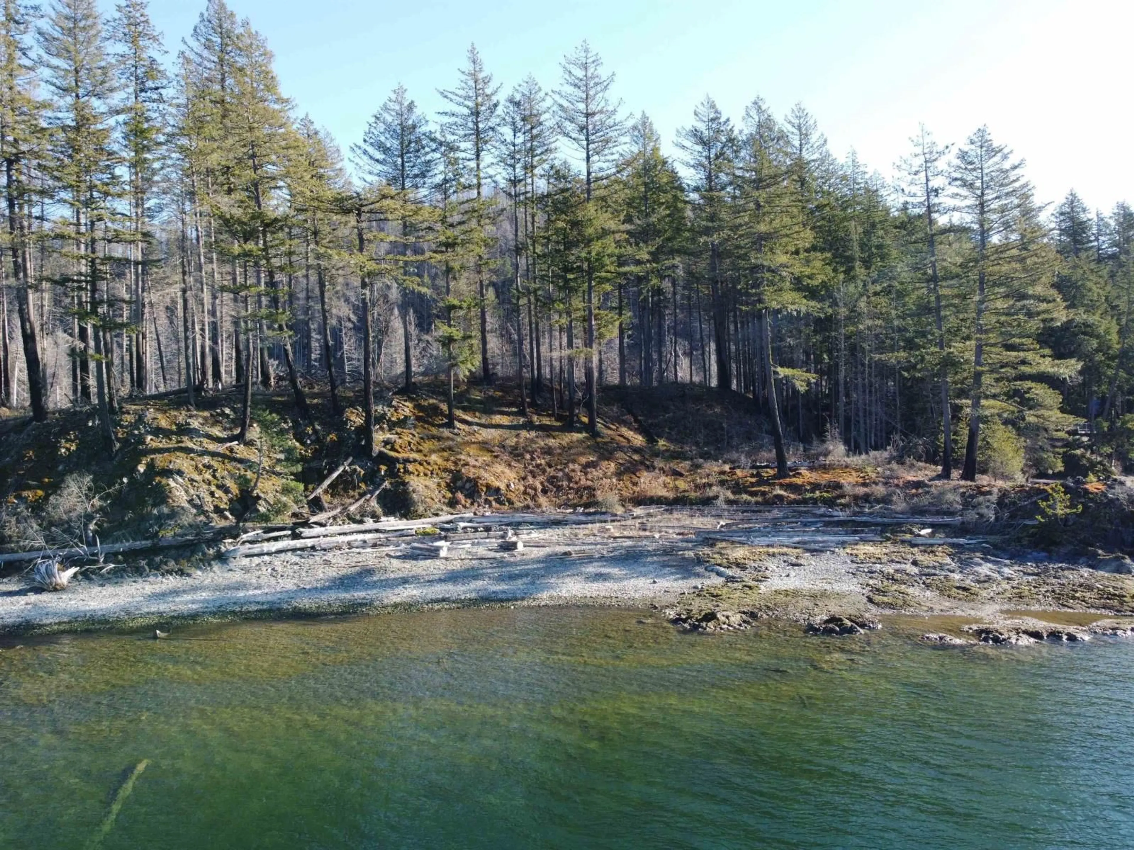 A pic from outside/outdoor area/front of a property/back of a property/a pic from drone, forest/trees view for DL 2770 LONG ISLAND, Harrison Hot Springs British Columbia V0M1K0