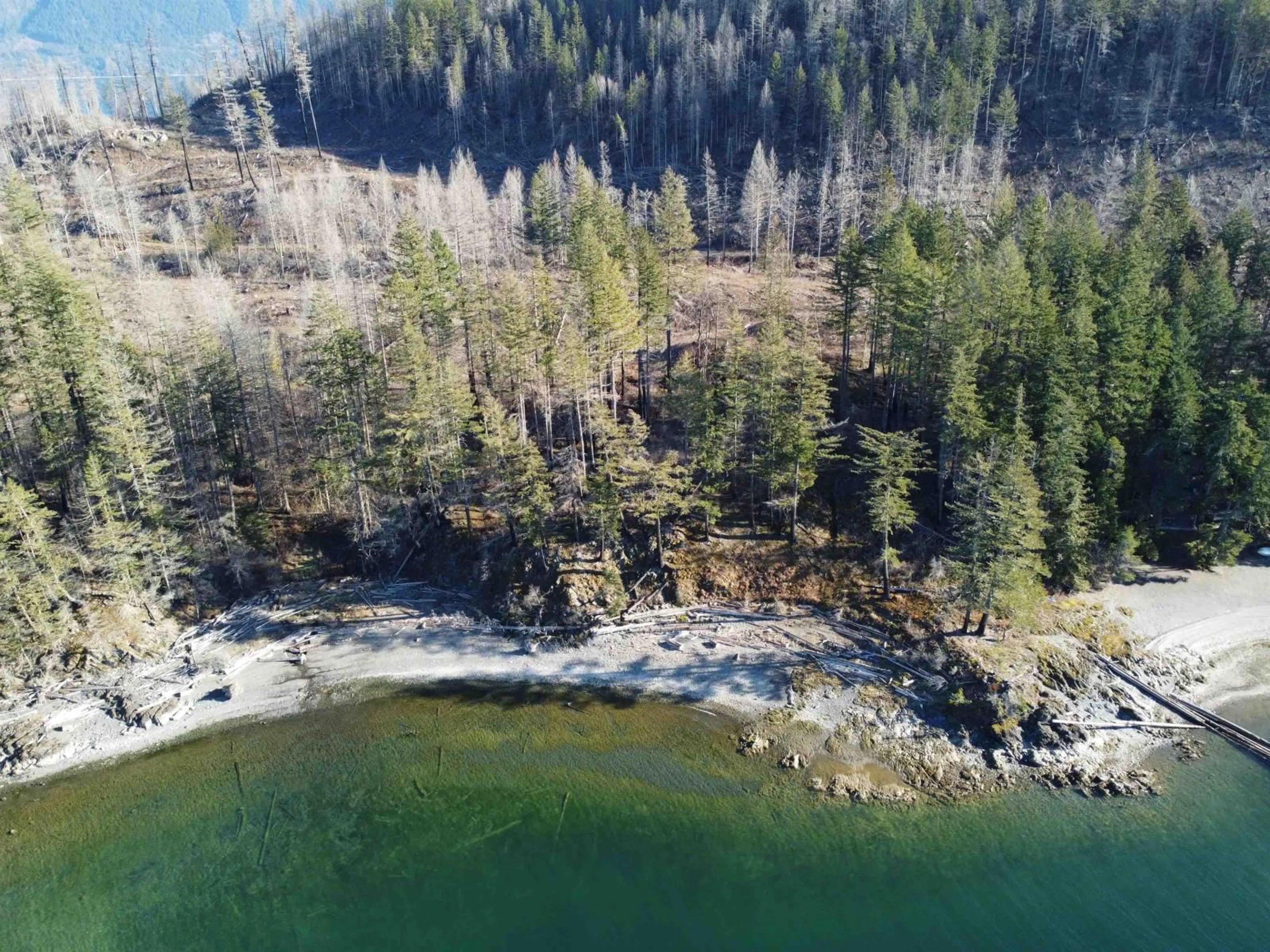 A pic from outside/outdoor area/front of a property/back of a property/a pic from drone, water/lake/river/ocean view for DL 2770 LONG ISLAND, Harrison Hot Springs British Columbia V0M1K0