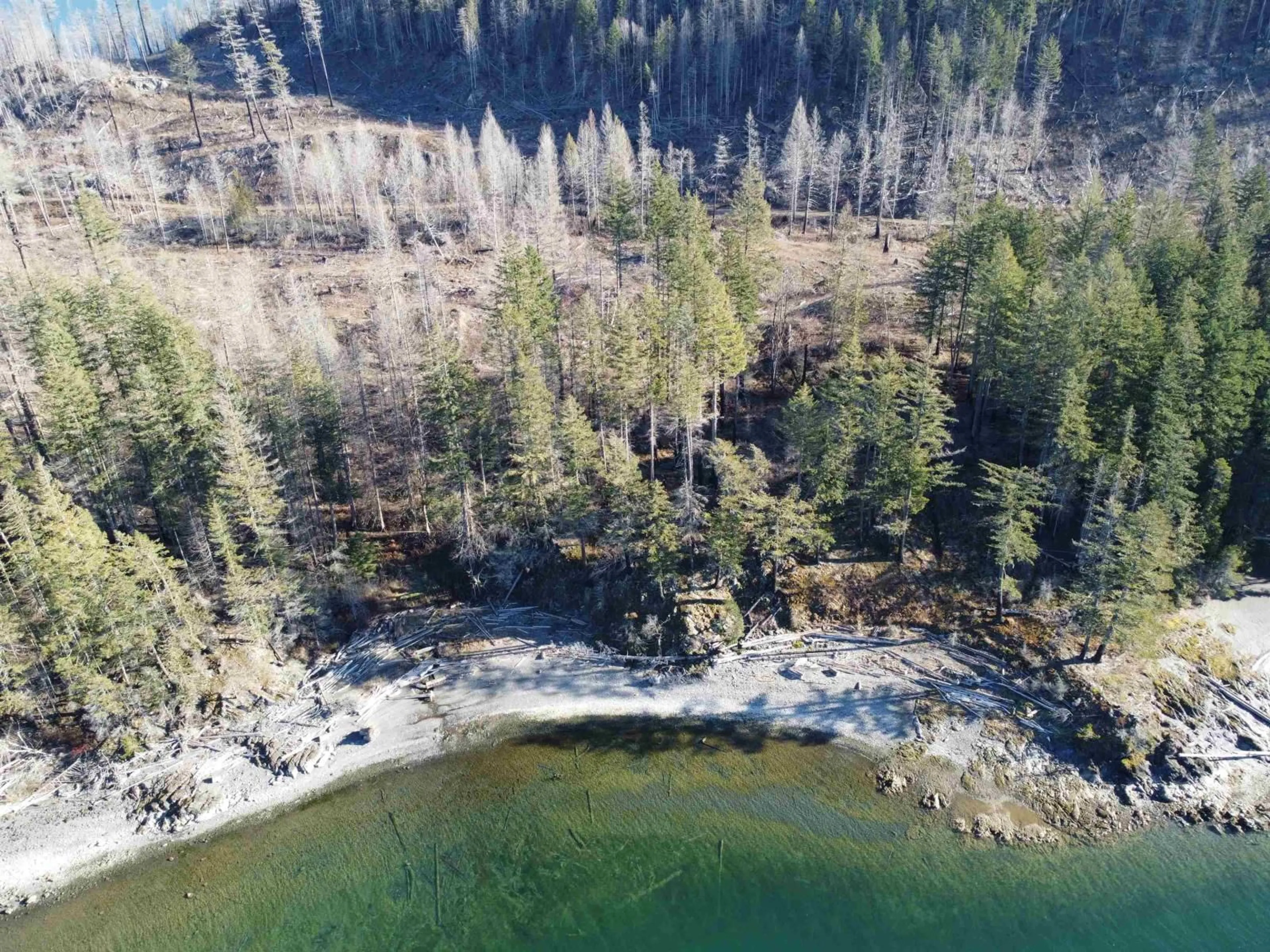 A pic from outside/outdoor area/front of a property/back of a property/a pic from drone, forest/trees view for DL 2770 LONG ISLAND, Harrison Hot Springs British Columbia V0M1K0