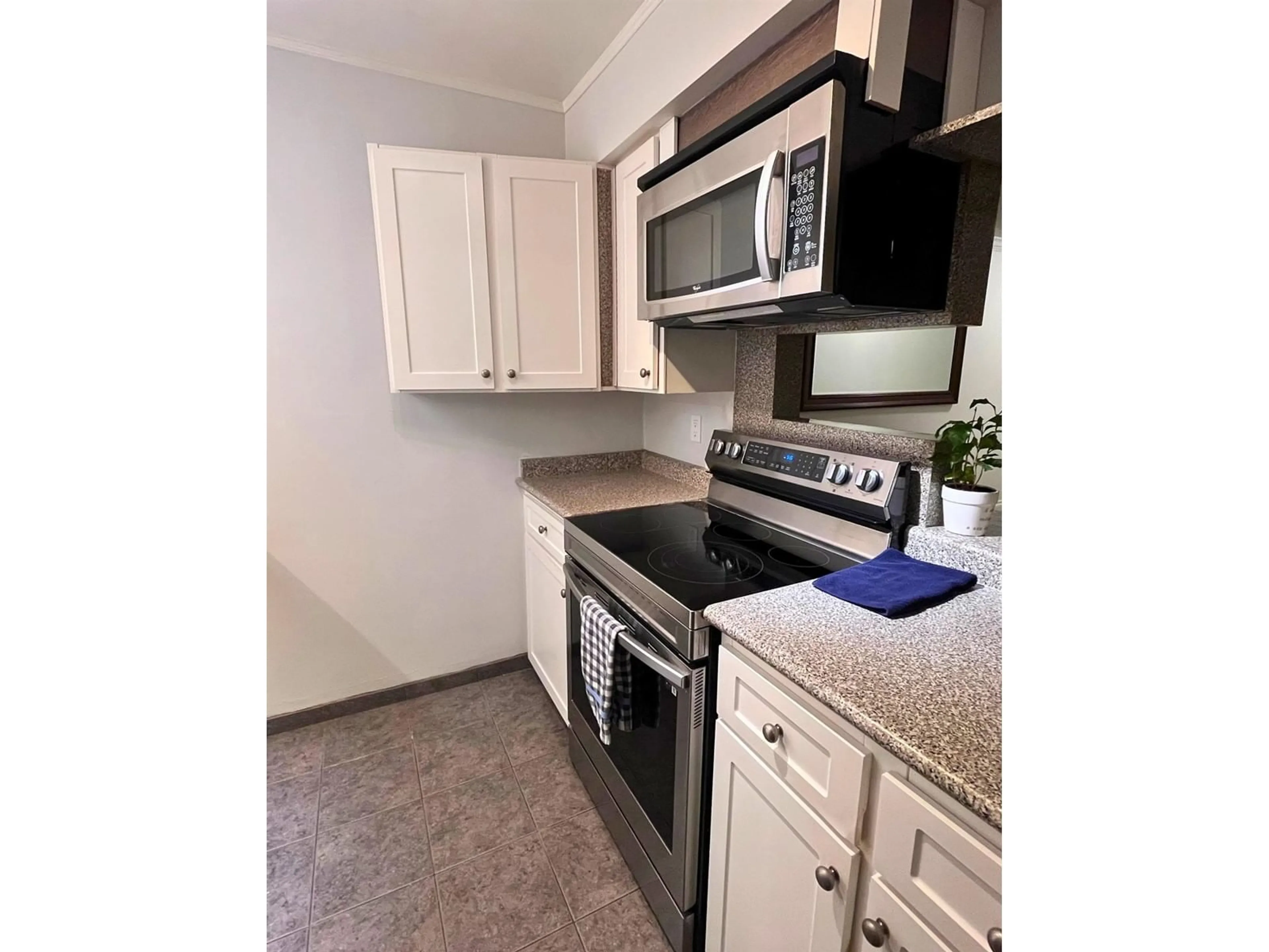 Standard kitchen, unknown for 109 5906 176A STREET, Surrey British Columbia V3S4H7