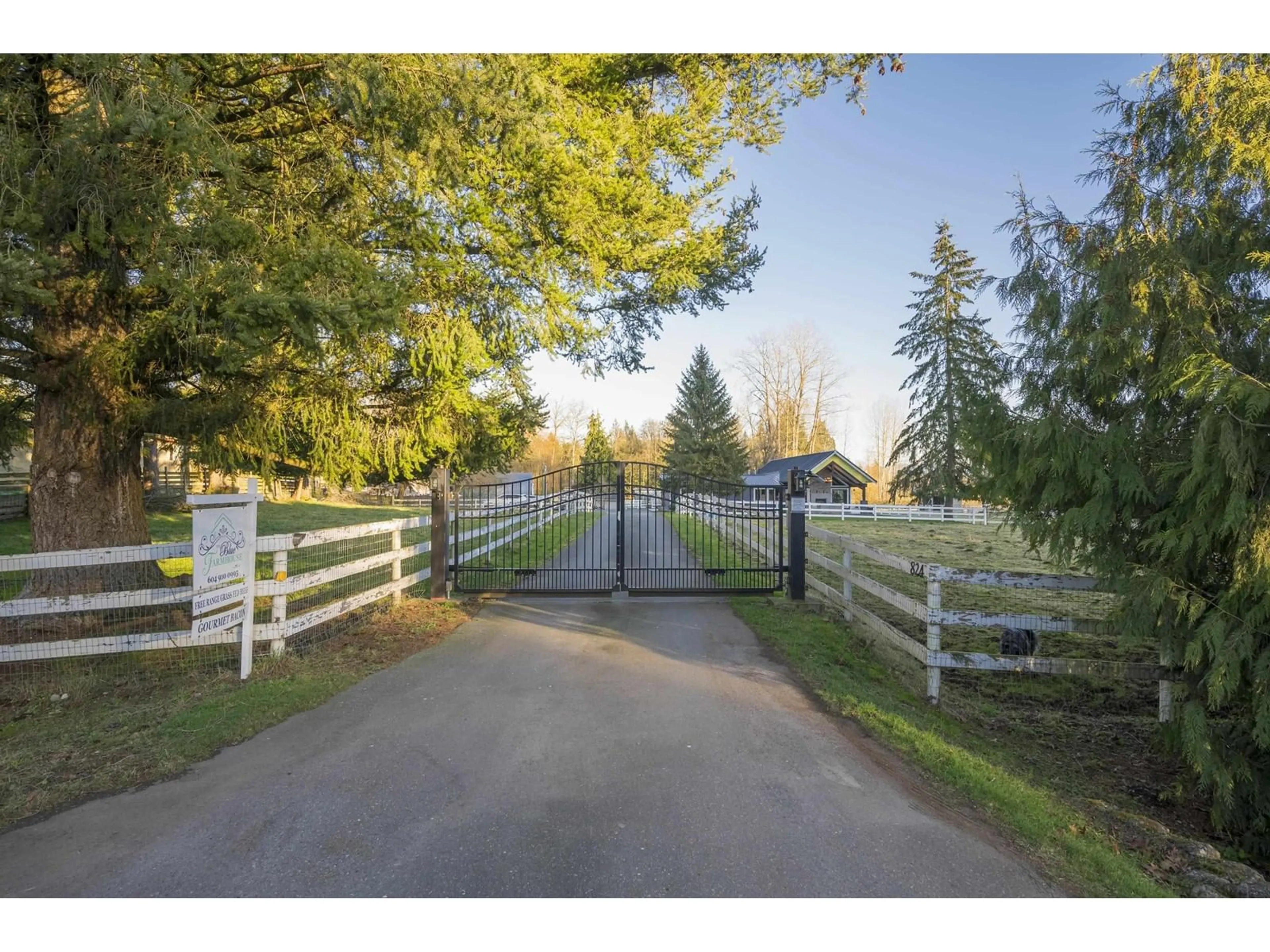 A pic from outside/outdoor area/front of a property/back of a property/a pic from drone, street for 824 240, Langley British Columbia V2Z2Y3
