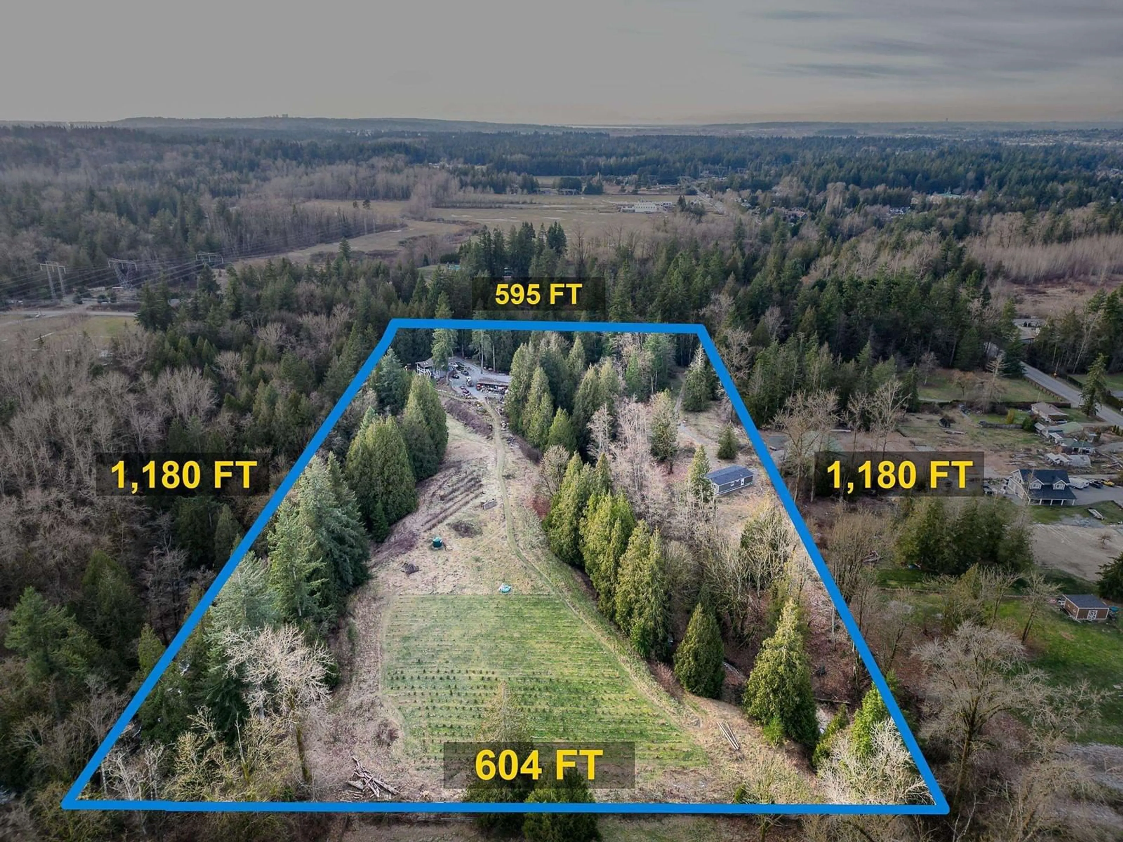 A pic from outside/outdoor area/front of a property/back of a property/a pic from drone, forest/trees view for 3870 216, Langley British Columbia V3A8P2