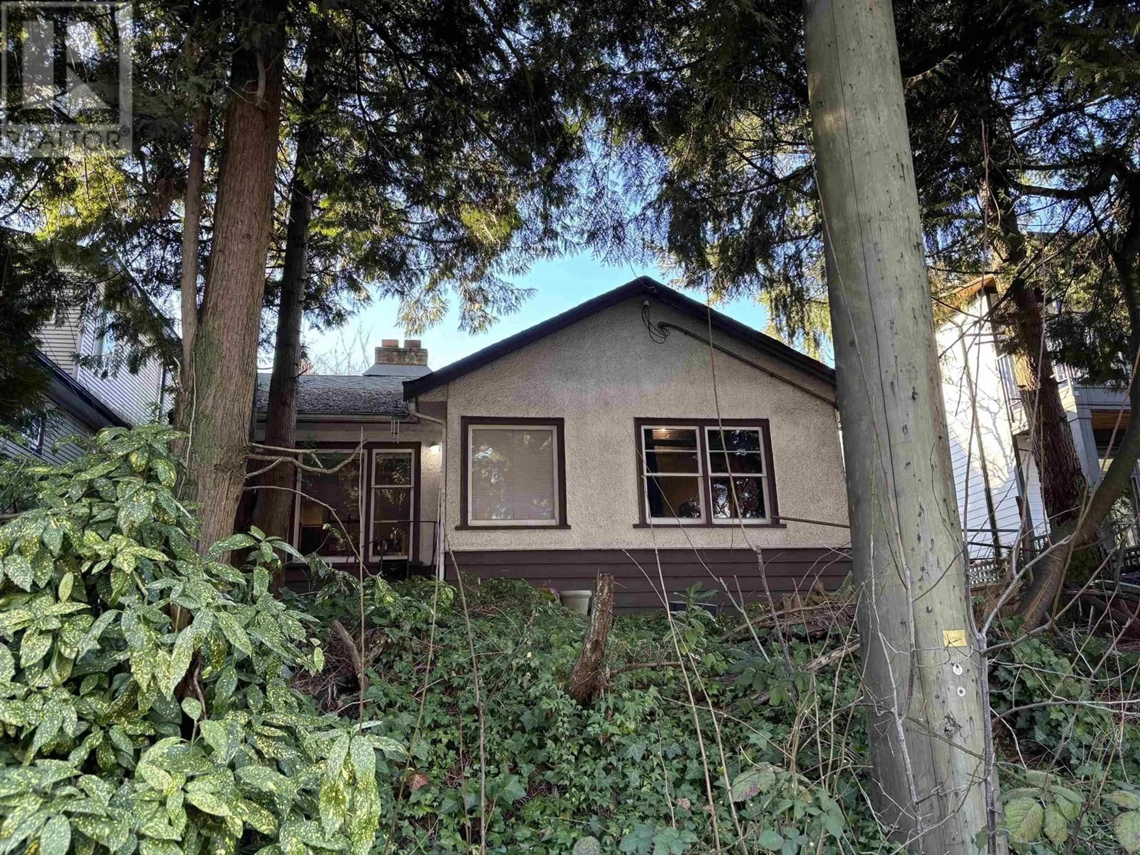 A pic from outside/outdoor area/front of a property/back of a property/a pic from drone, forest/trees view for 613 E COLUMBIA STREET, New Westminster British Columbia V3L3Y1