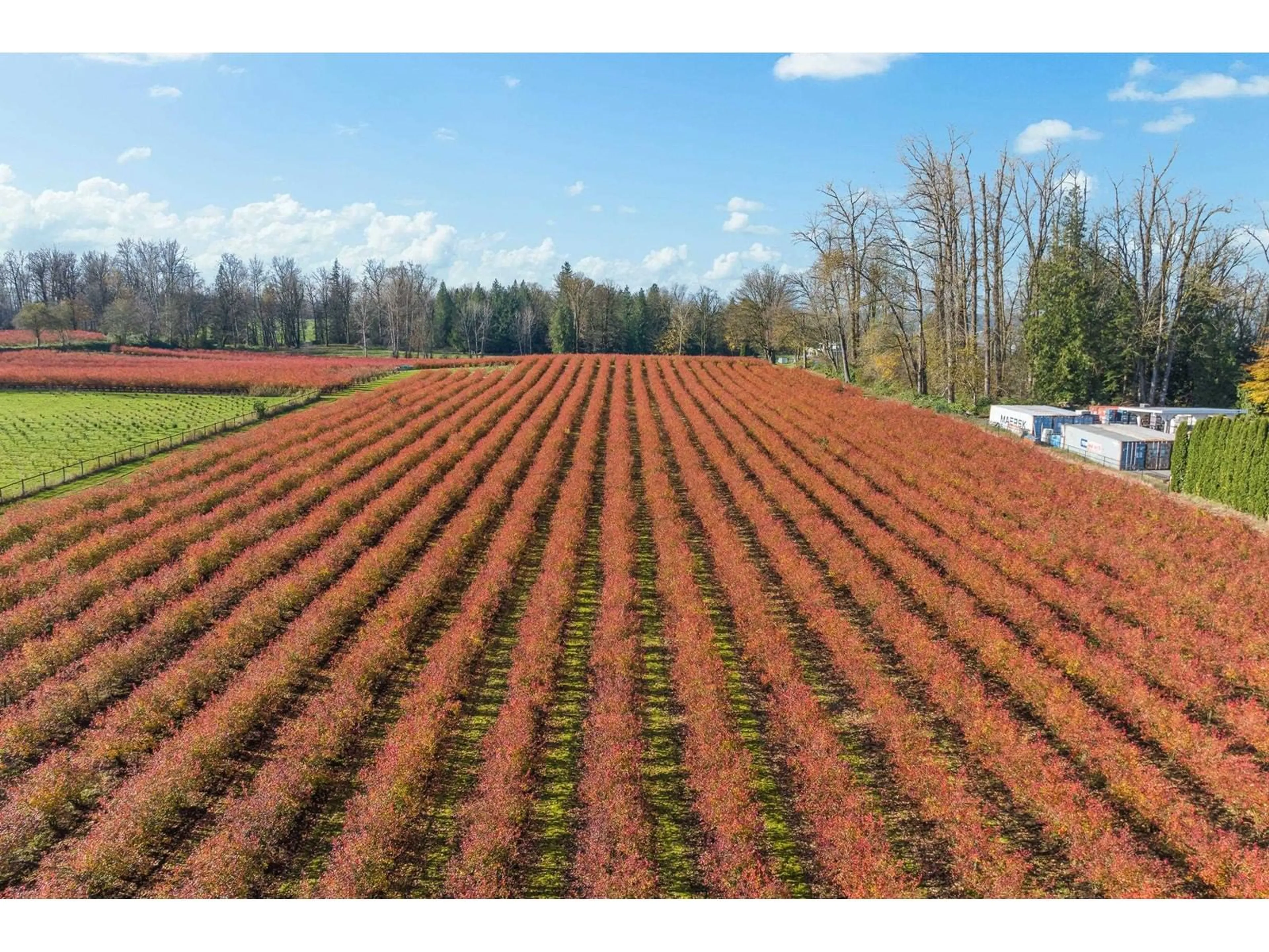 A pic from outside/outdoor area/front of a property/back of a property/a pic from drone, forest/trees view for 4267 SELDON ROAD, Abbotsford British Columbia V2S7T7