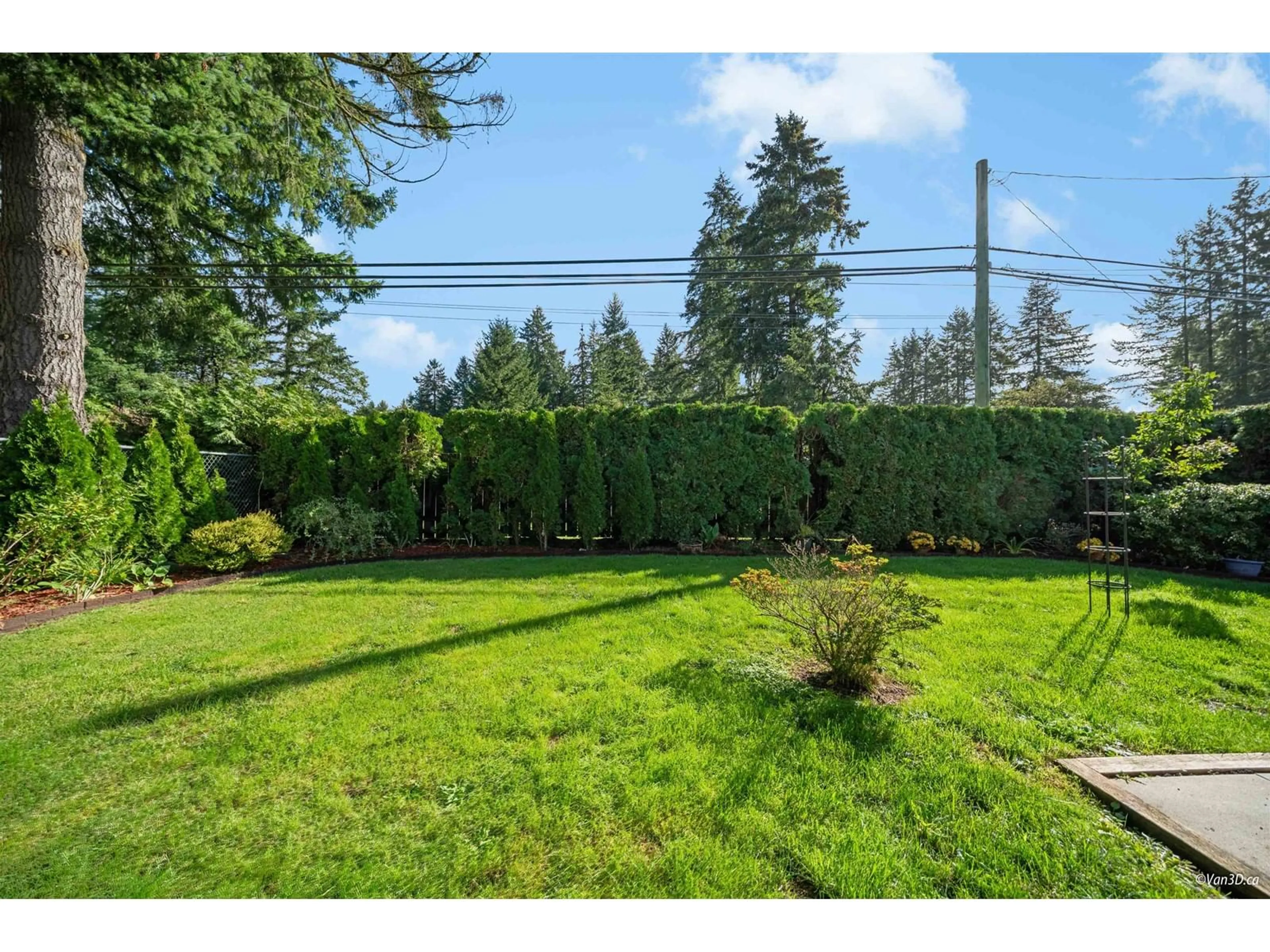 Patio, forest/trees view for 3353 200 STREET, Langley British Columbia V3A4W5