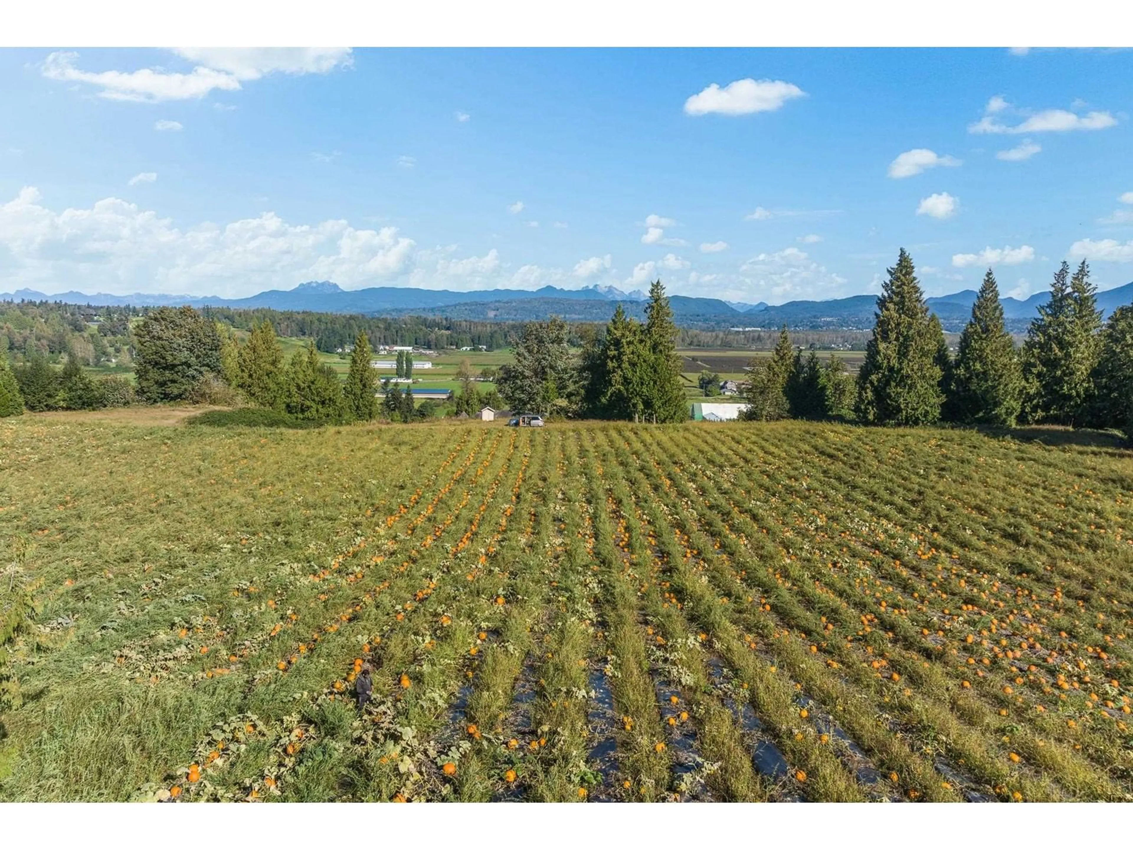 A pic from outside/outdoor area/front of a property/back of a property/a pic from drone, mountain view for 4610 BATES ROAD, Abbotsford British Columbia V4X1Z9