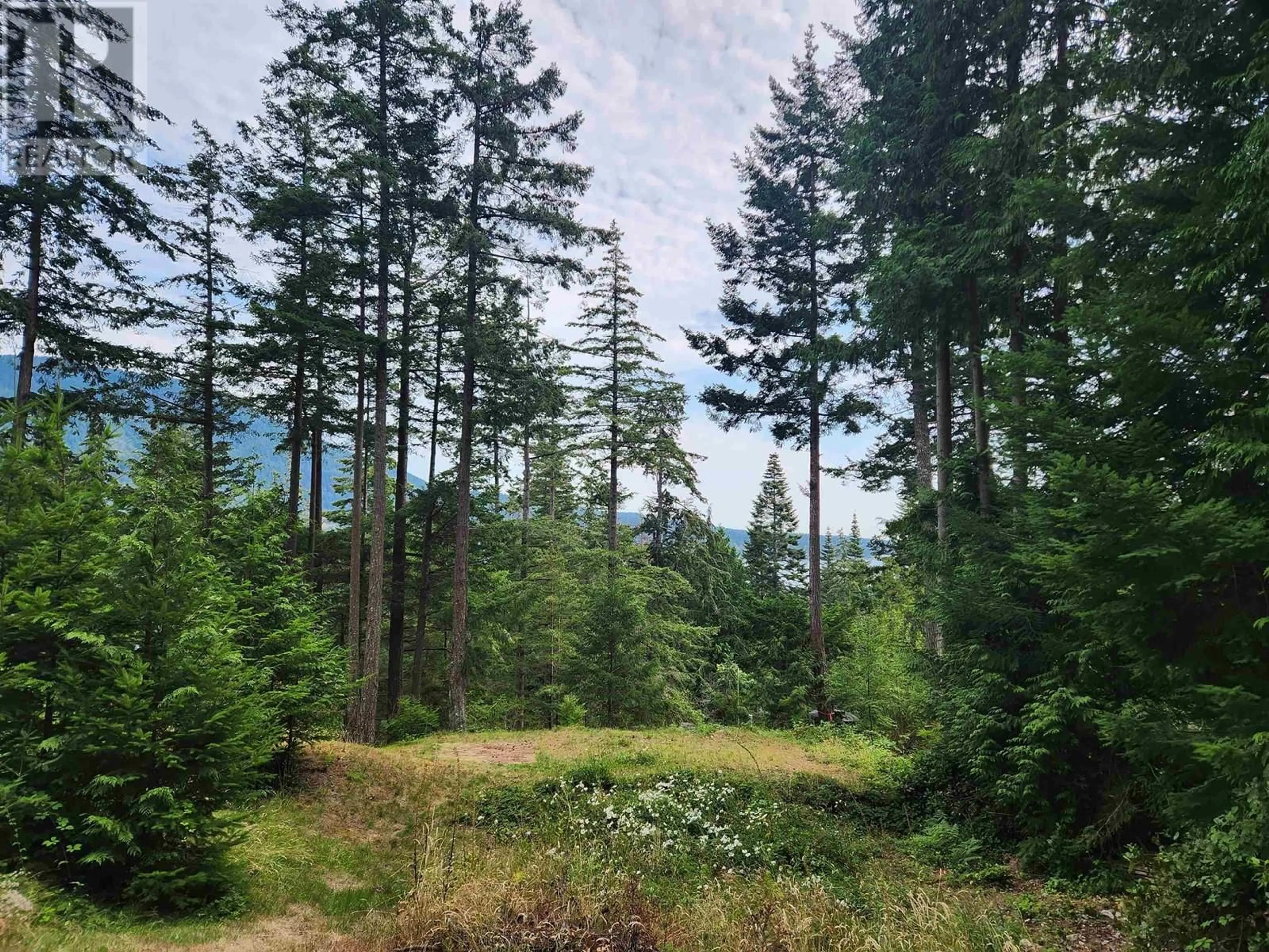 A pic from outside/outdoor area/front of a property/back of a property/a pic from drone, forest/trees view for 283 GORDON ROAD, Keats Island British Columbia V0N1V0