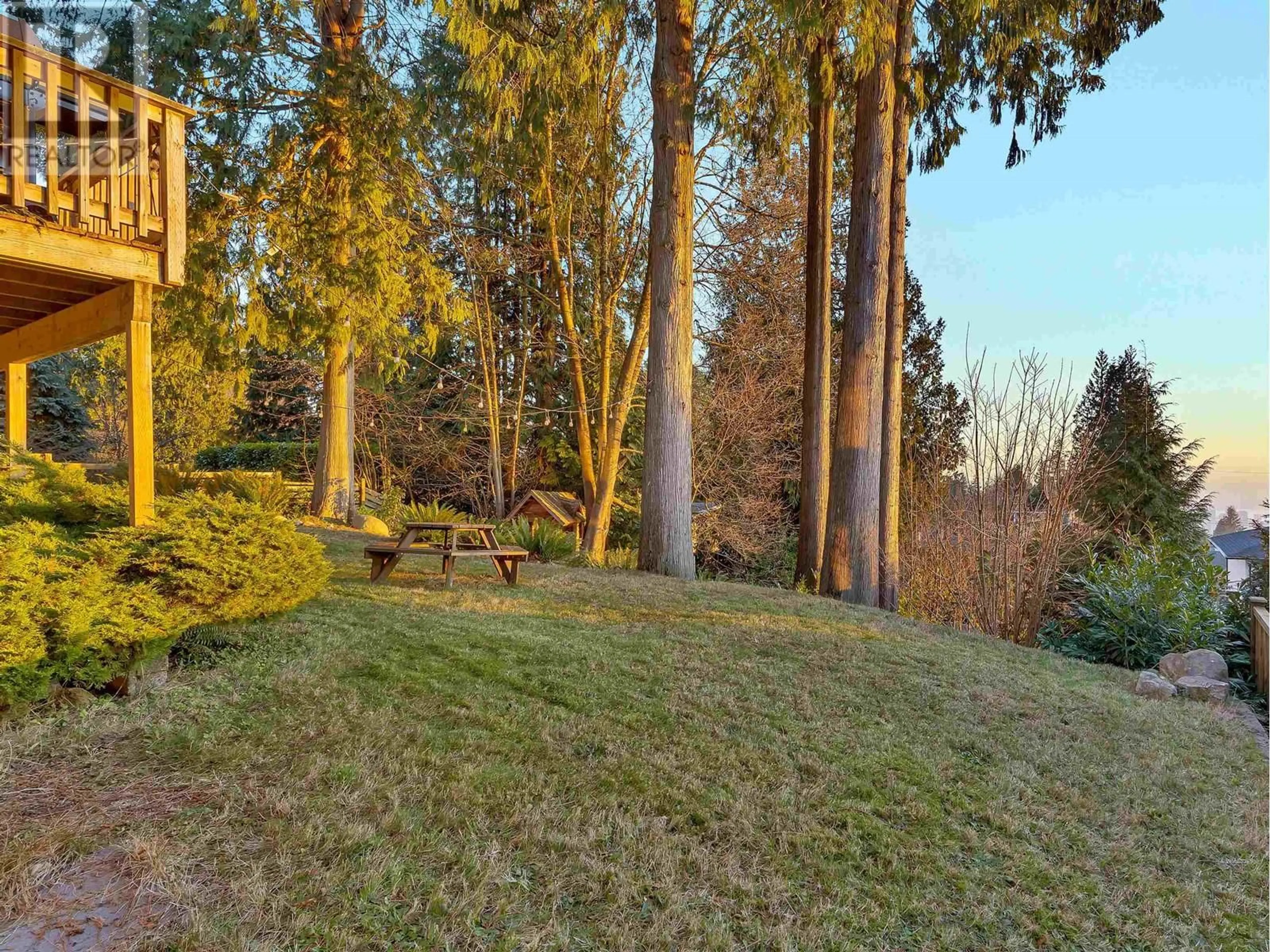 A pic from outside/outdoor area/front of a property/back of a property/a pic from drone, forest/trees view for 239 TAMARACK ROAD, North Vancouver British Columbia V7N1S3