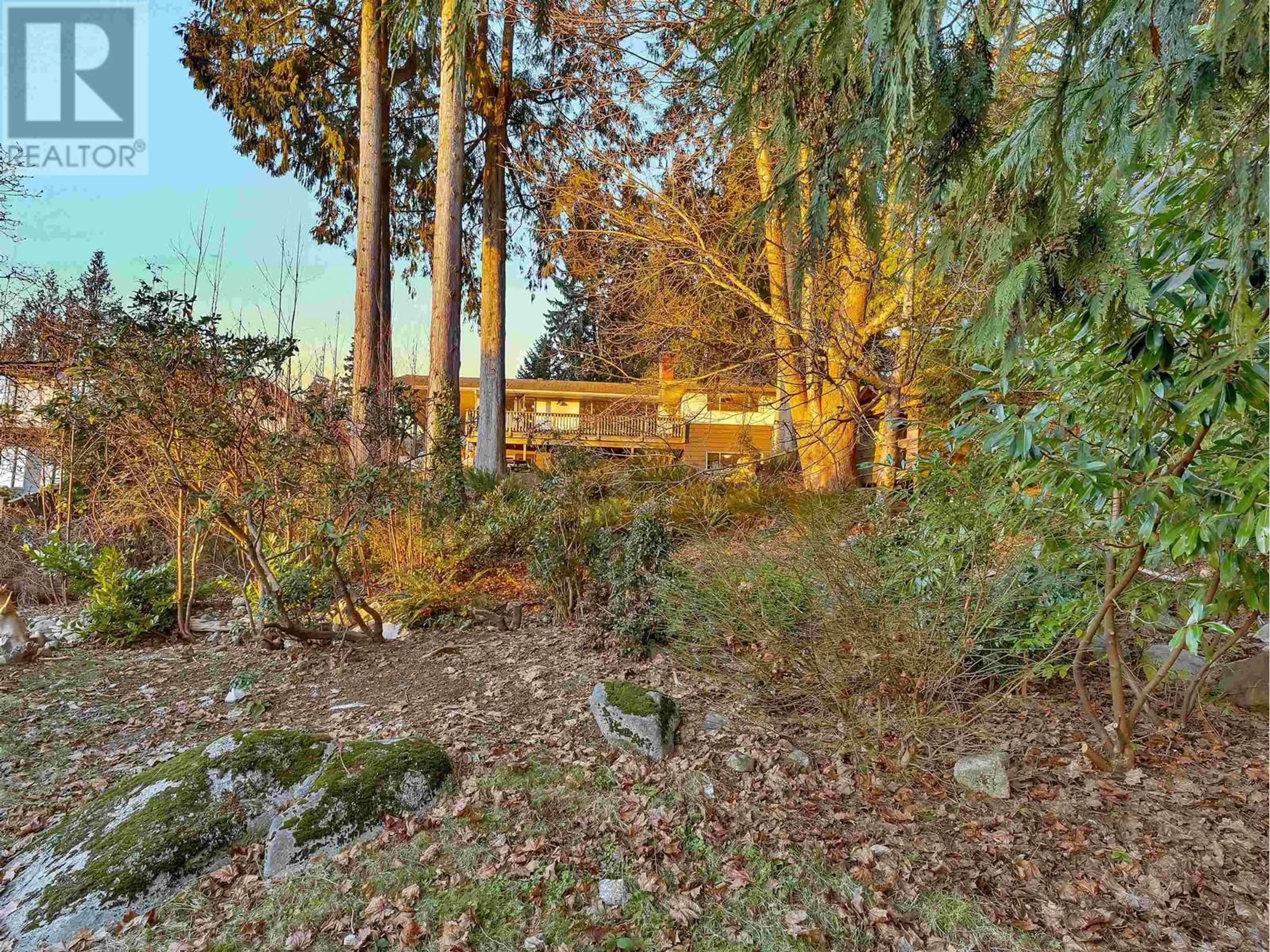 A pic from outside/outdoor area/front of a property/back of a property/a pic from drone, forest/trees view for 239 TAMARACK ROAD, North Vancouver British Columbia V7N1S3