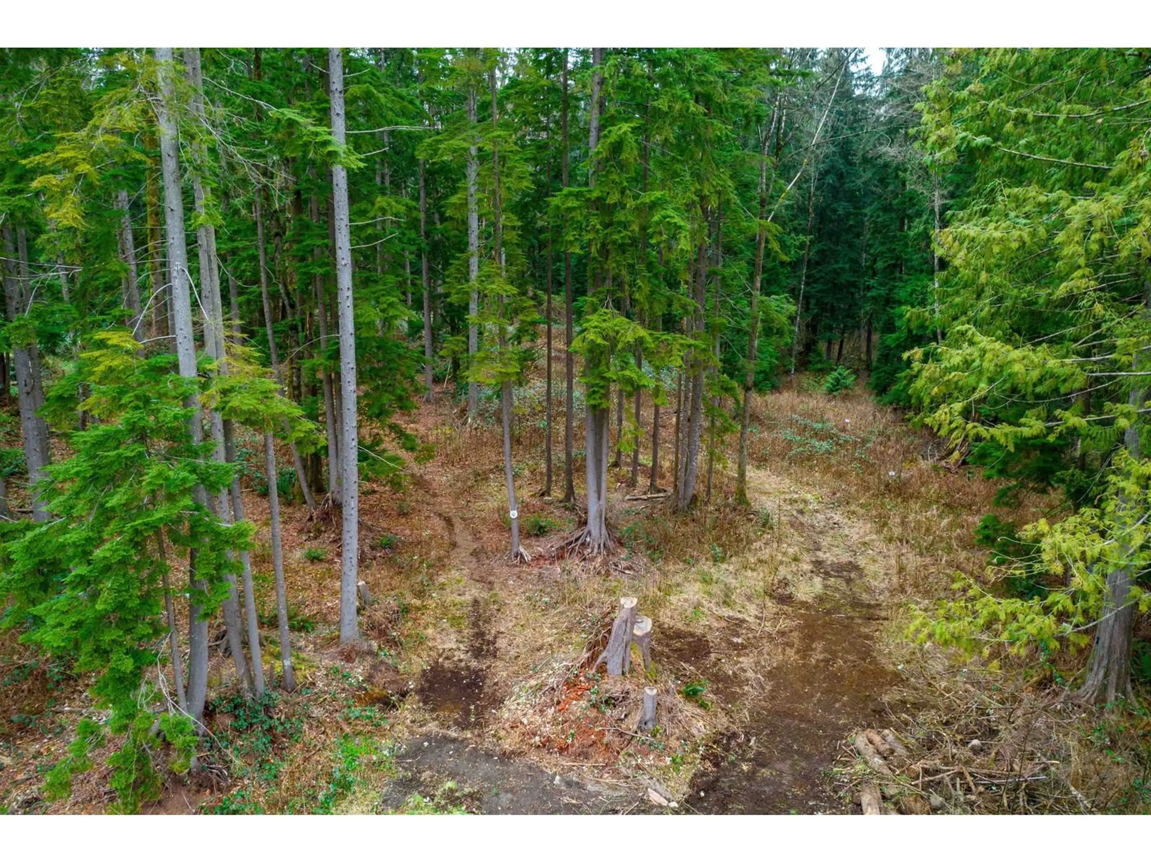 A pic from outside/outdoor area/front of a property/back of a property/a pic from drone, forest/trees view for 29809 DEWDNEY TRUNK, Mission British Columbia V4S1B7
