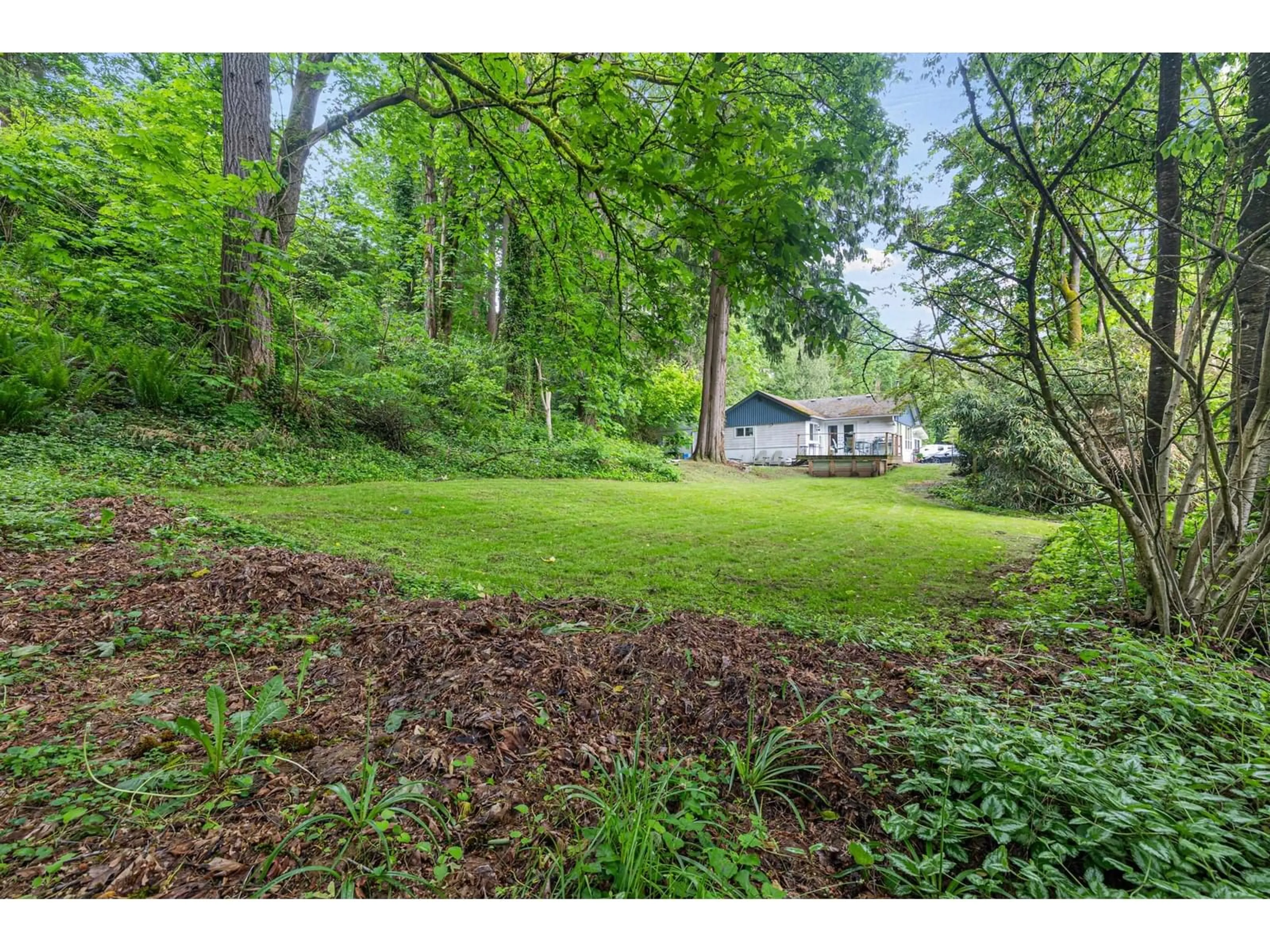 A pic from outside/outdoor area/front of a property/back of a property/a pic from drone, forest/trees view for 34075 MCCRIMMON DRIVE, Abbotsford British Columbia V2S2V6