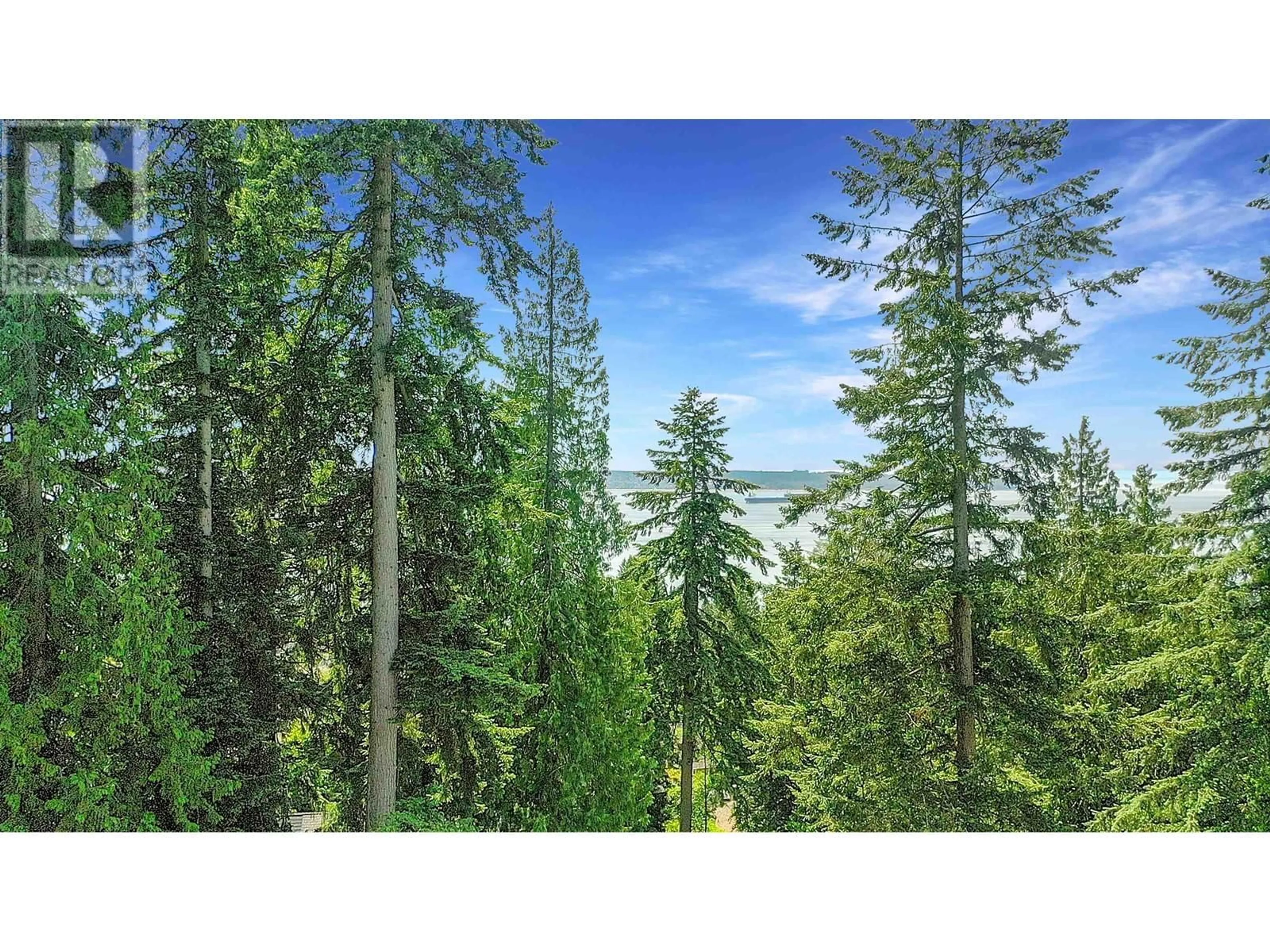 A pic from outside/outdoor area/front of a property/back of a property/a pic from drone, forest/trees view for 2665 PALMERSTON AVENUE, West Vancouver British Columbia V7V2W7