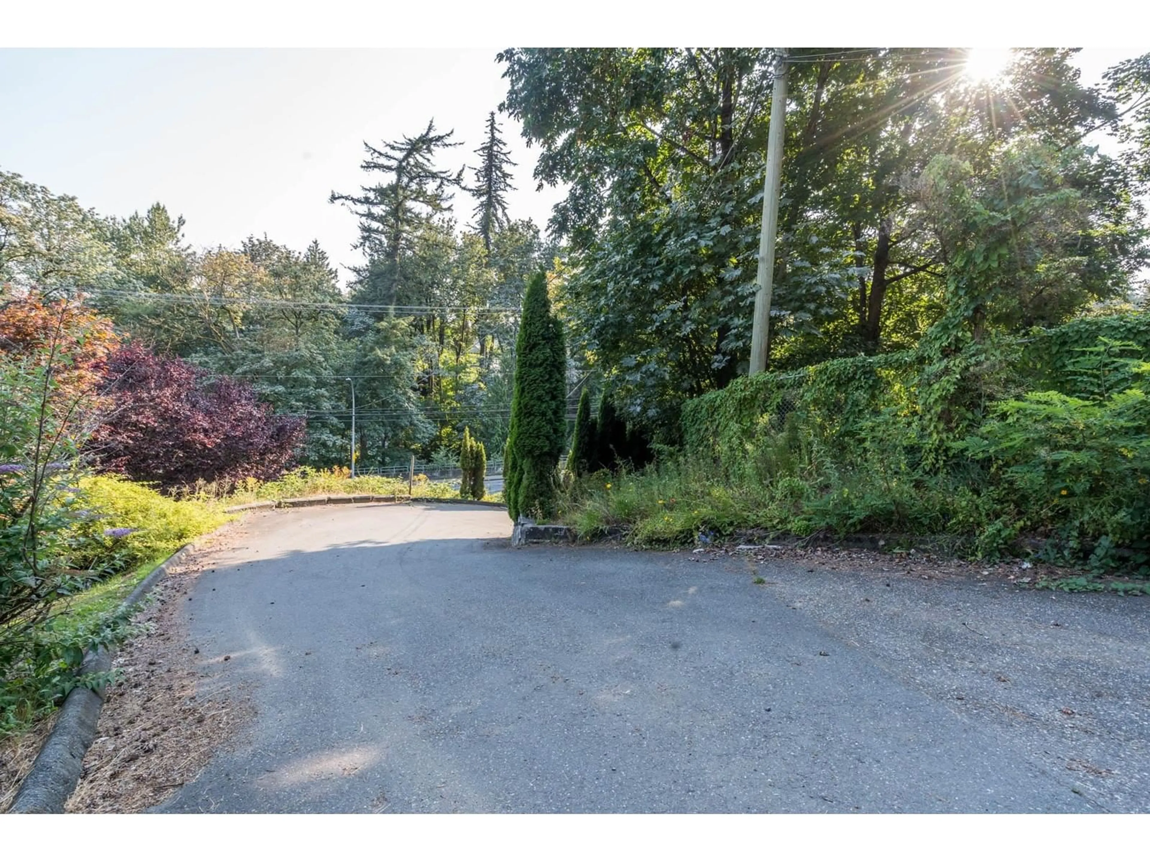 A pic from outside/outdoor area/front of a property/back of a property/a pic from drone, forest/trees view for 35421 OLD YALE, Abbotsford British Columbia V3G2C5