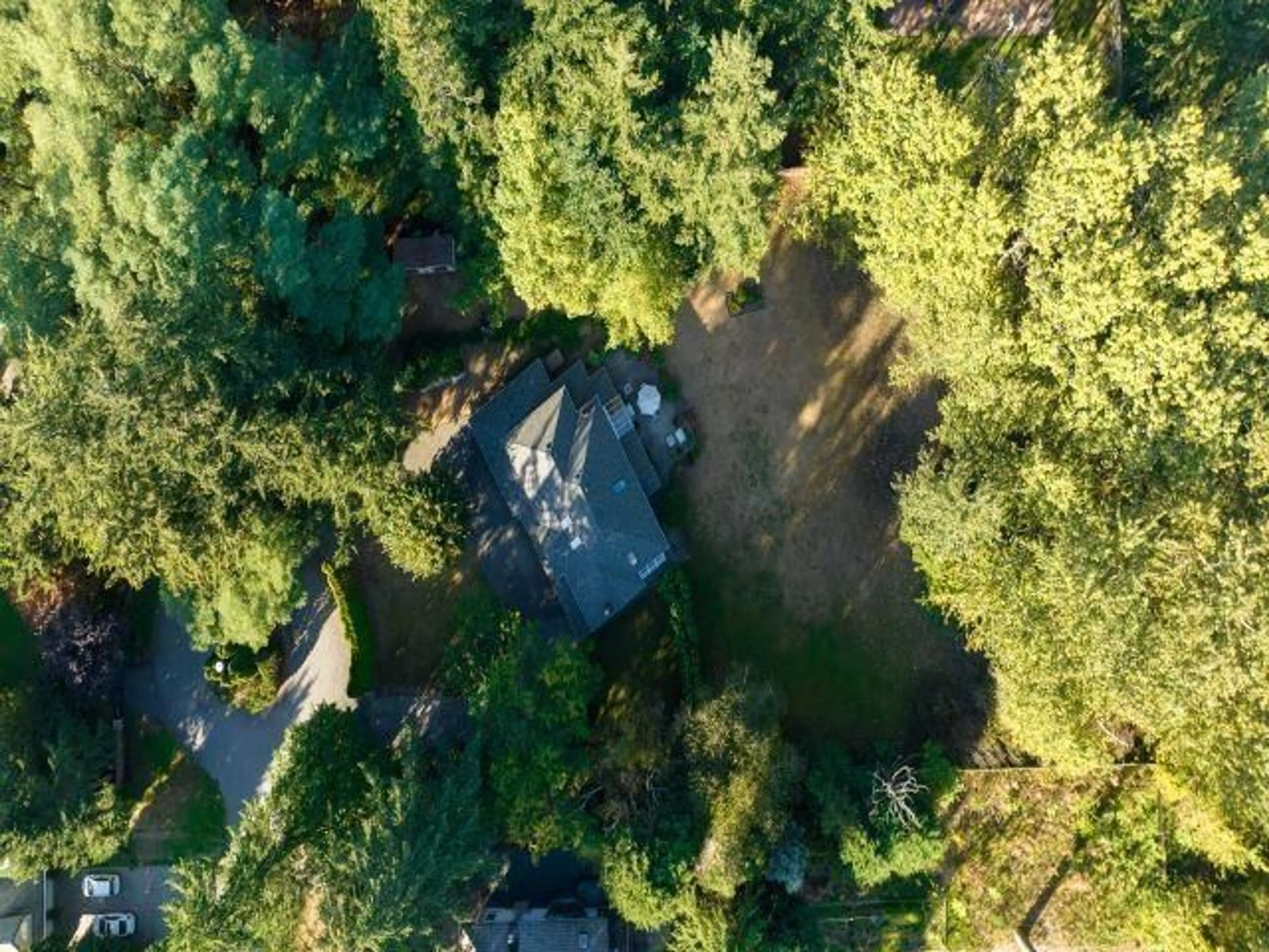 A pic from outside/outdoor area/front of a property/back of a property/a pic from drone, forest/trees view for 2488 139, Surrey British Columbia V4P1S2