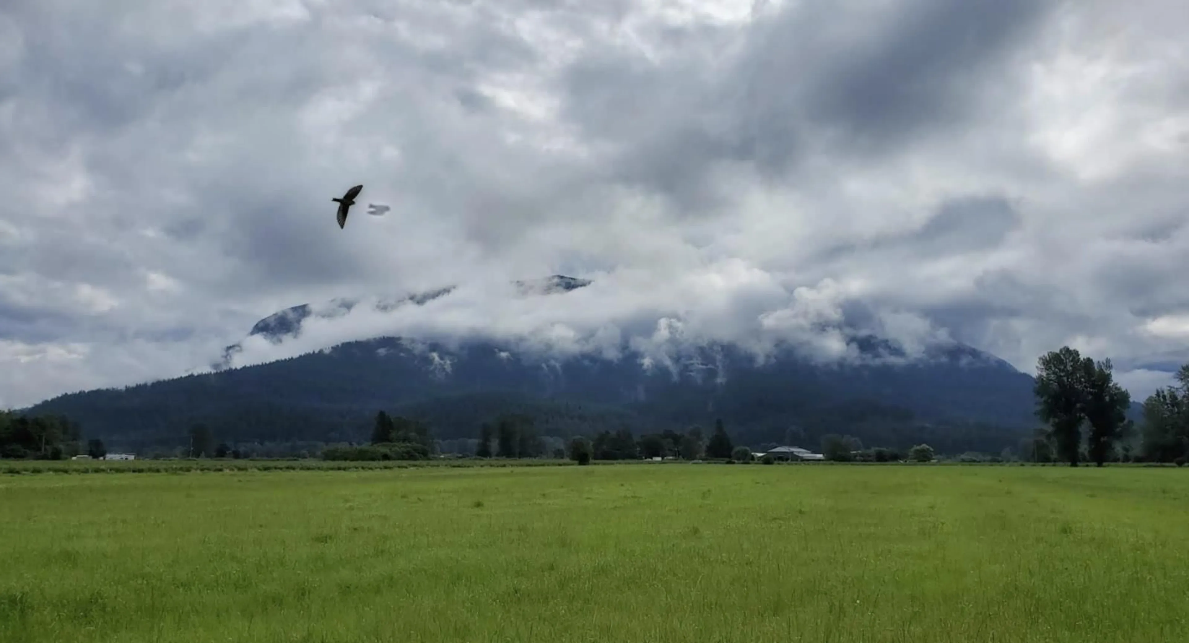 Blurry image for 349 KENNEDY ROAD, Harrison Mills British Columbia V0M1A0