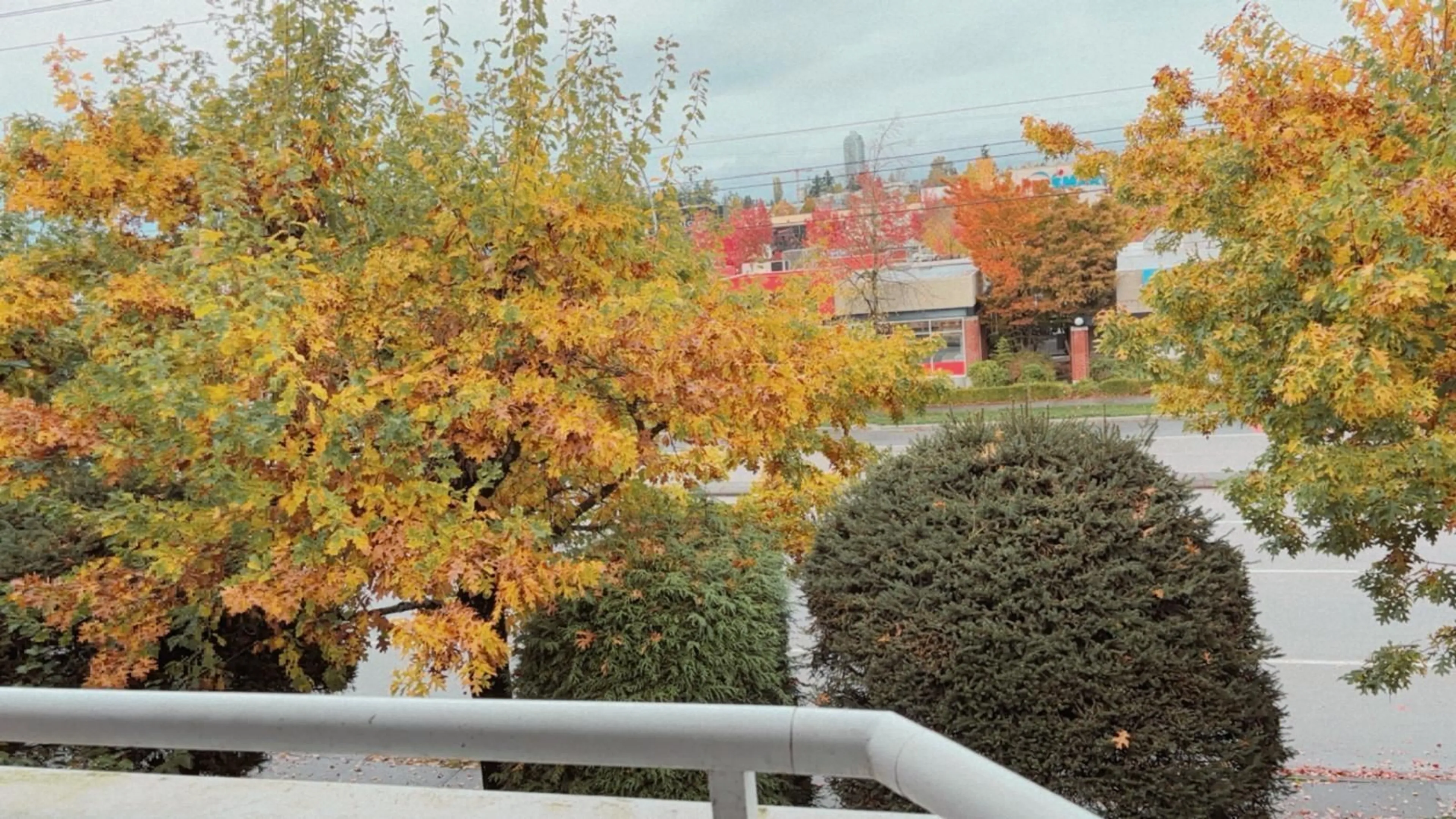Unknown for 309 - 7171 121, Surrey British Columbia V3W1G9