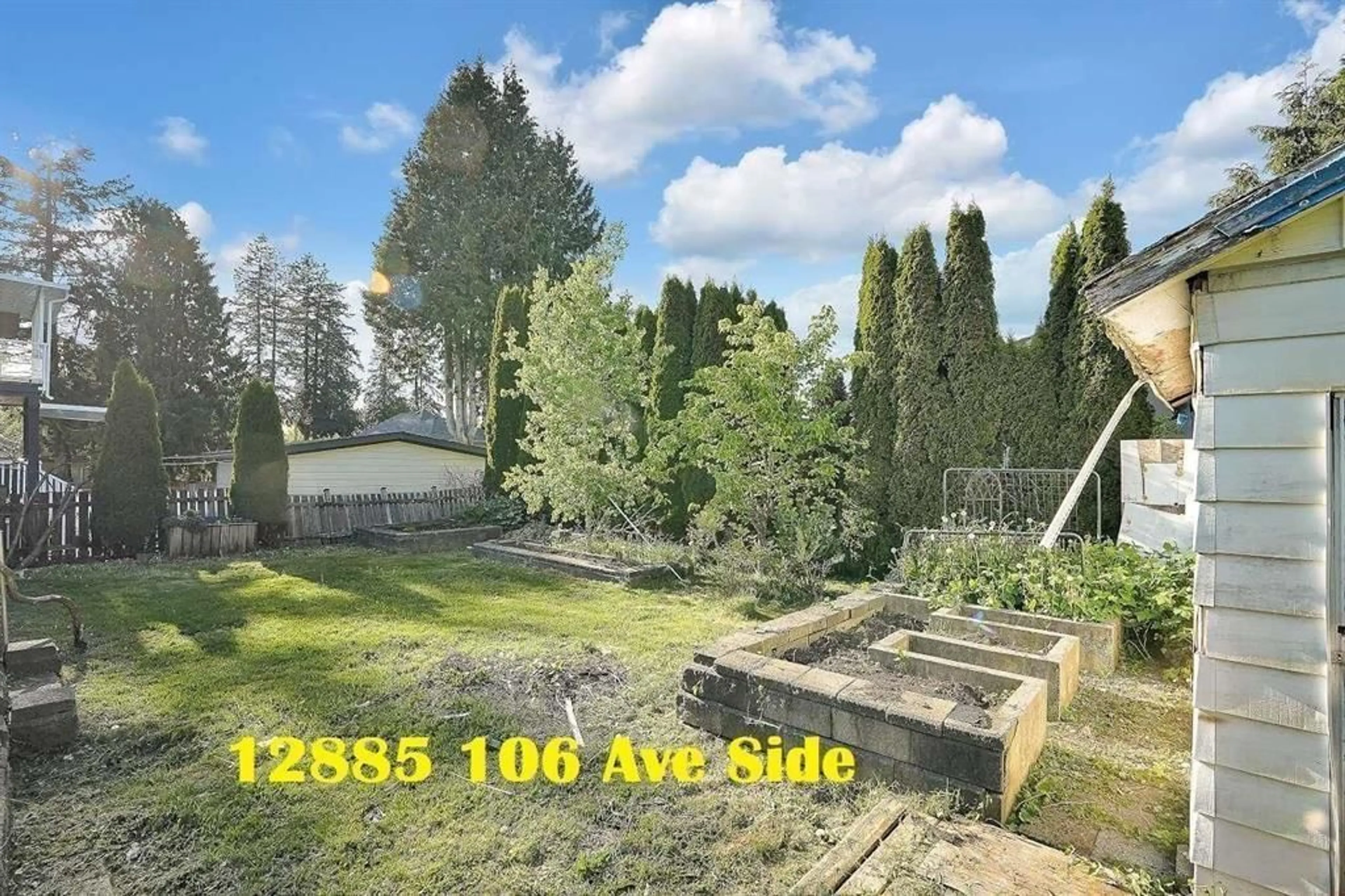 A pic from outside/outdoor area/front of a property/back of a property/a pic from drone, forest/trees view for 12885 106A AVENUE, Surrey British Columbia V3T2C9