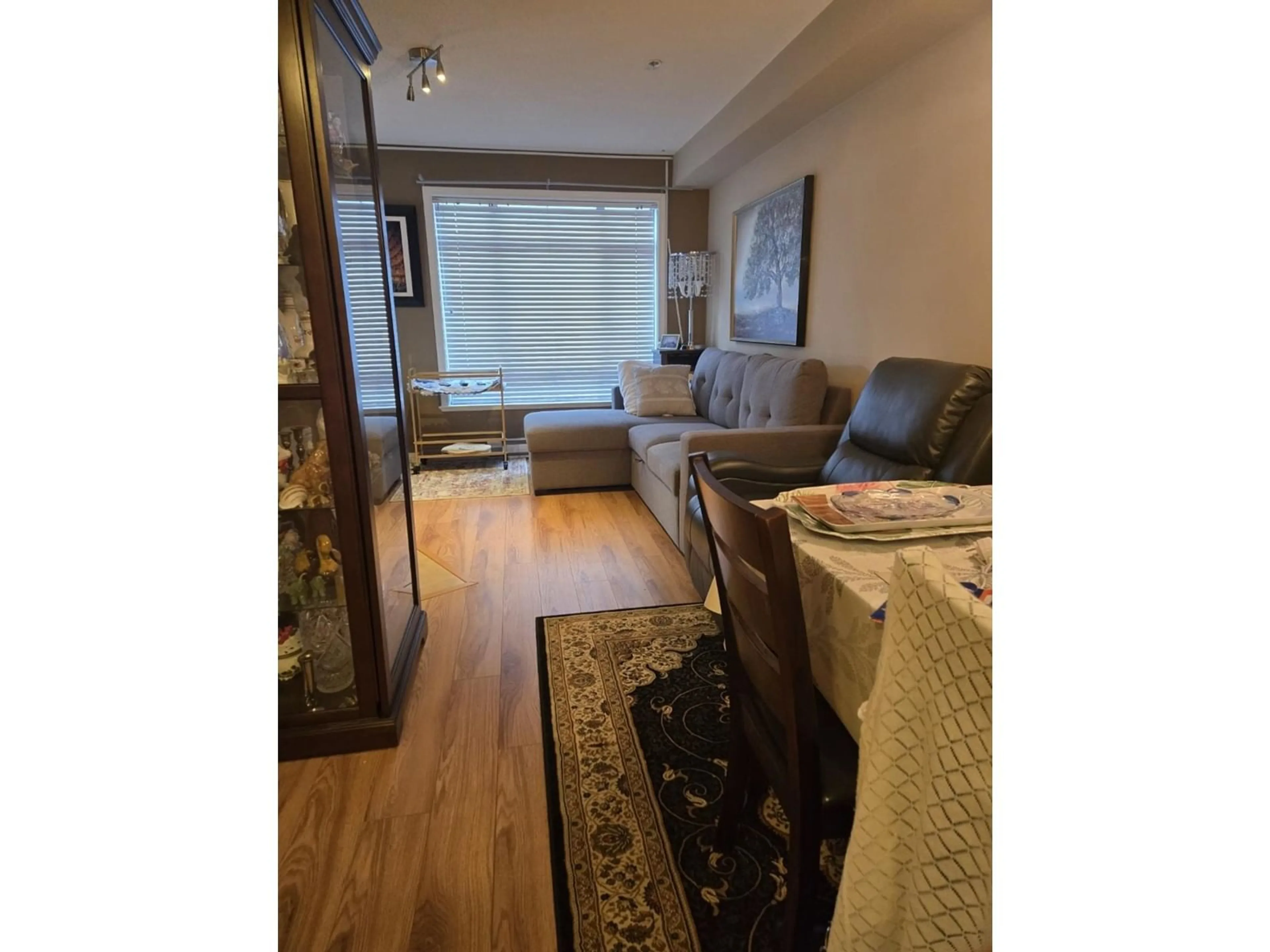 Living room with furniture, wood/laminate floor for 229 - 8880 202, Langley British Columbia V1M4E7