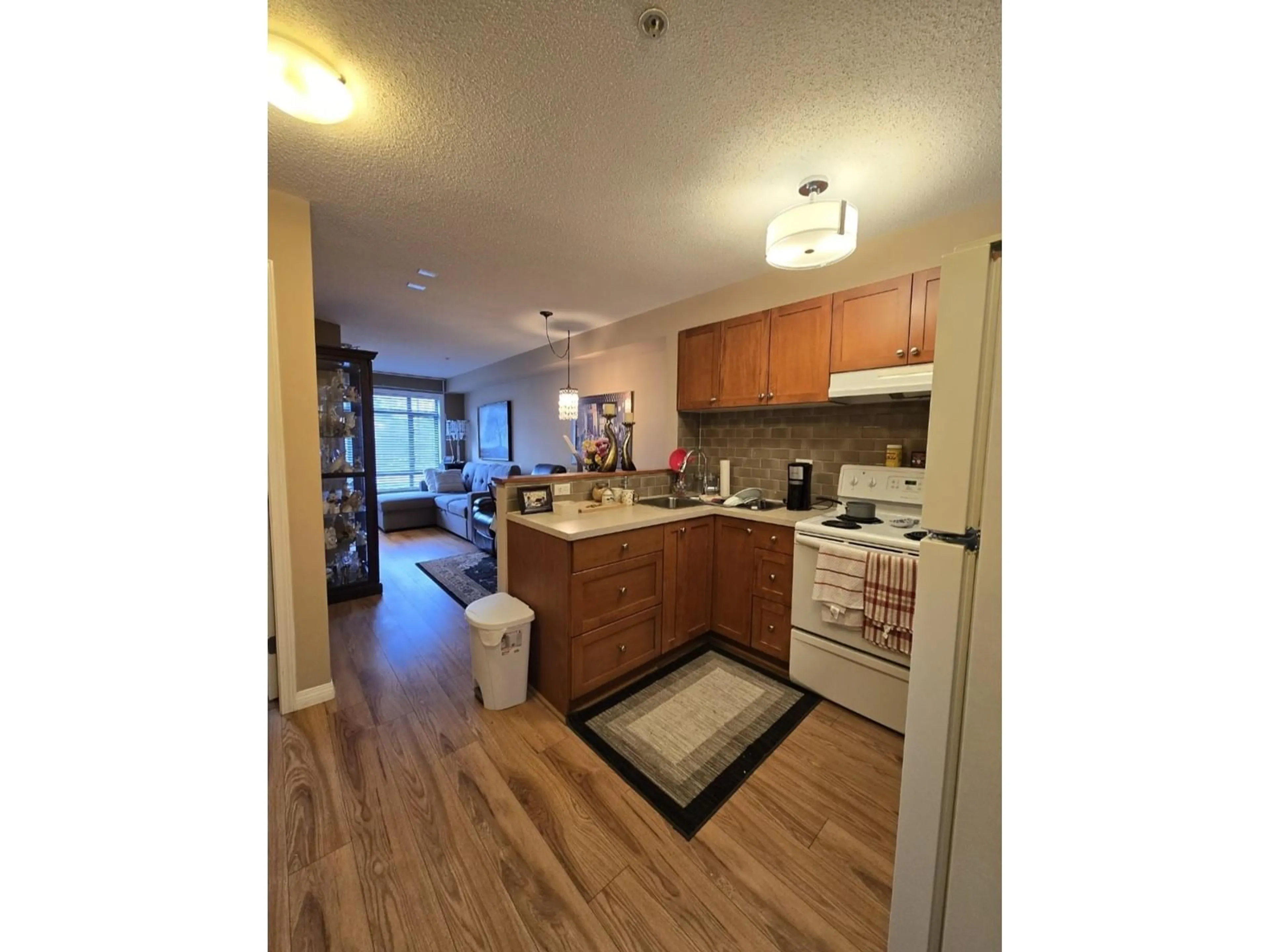 Standard kitchen, wood/laminate floor for 229 8880 202 STREET, Langley British Columbia V1M4E7