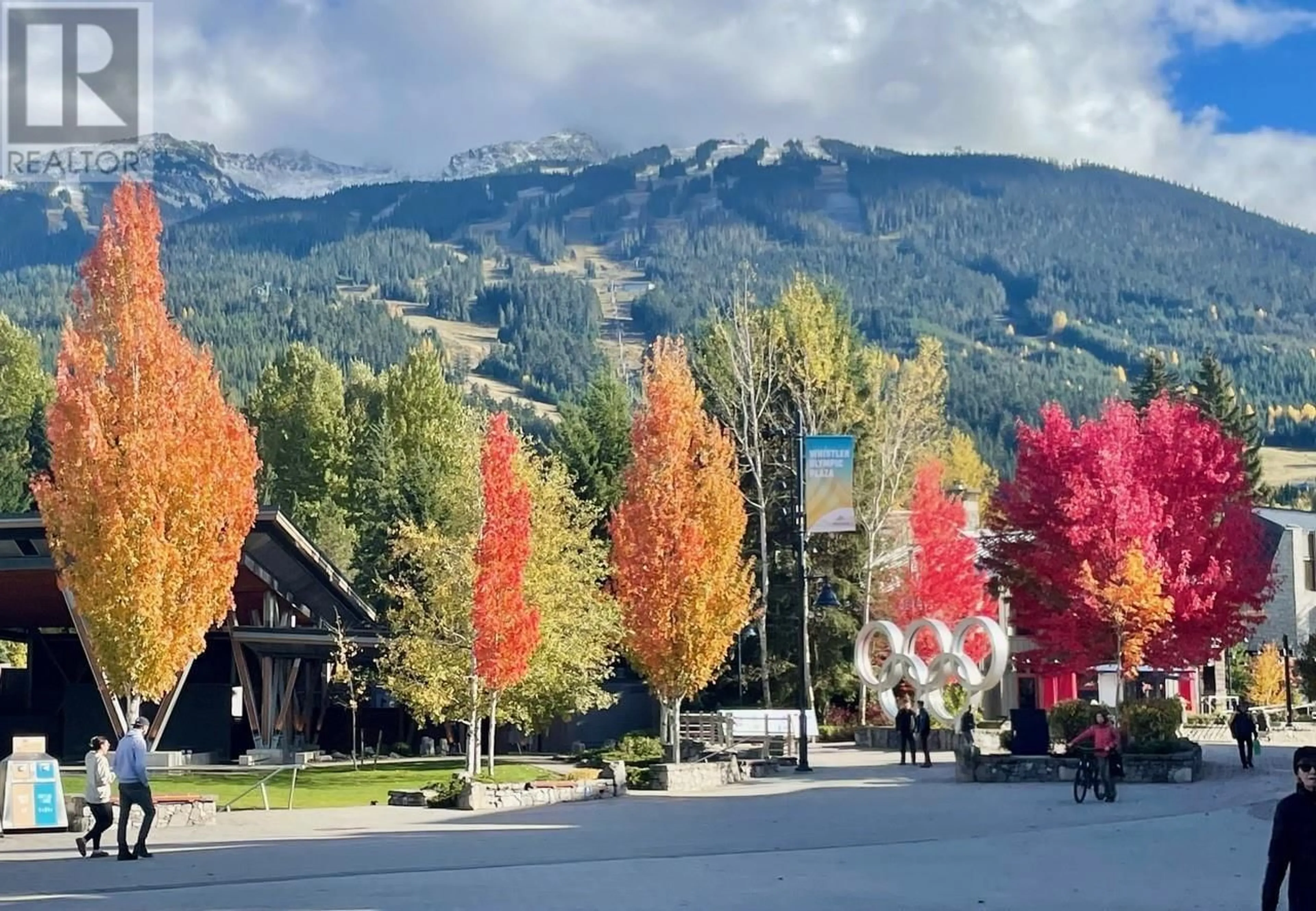 Blurry image for Wk 10 219-4338 MAIN STREET, Whistler British Columbia V8E1B4