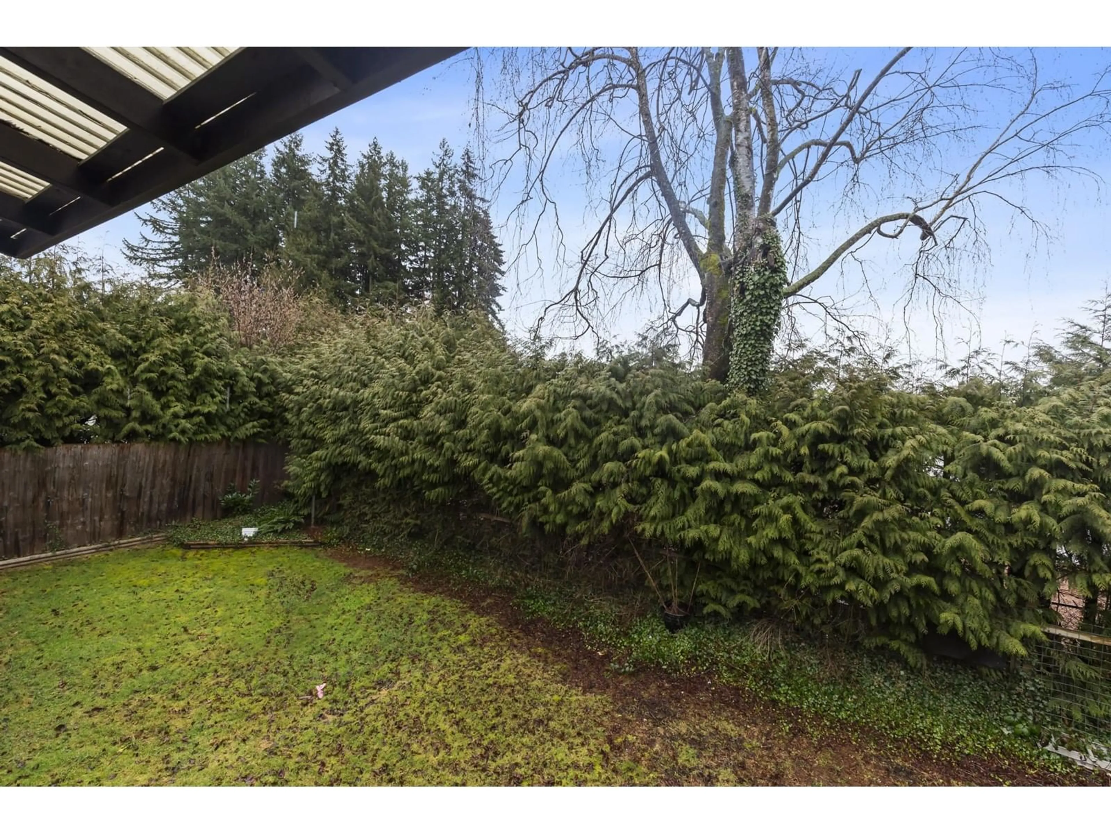 A pic from outside/outdoor area/front of a property/back of a property/a pic from drone, forest/trees view for 7733 SANDPIPER DRIVE, Mission British Columbia V2V4N9