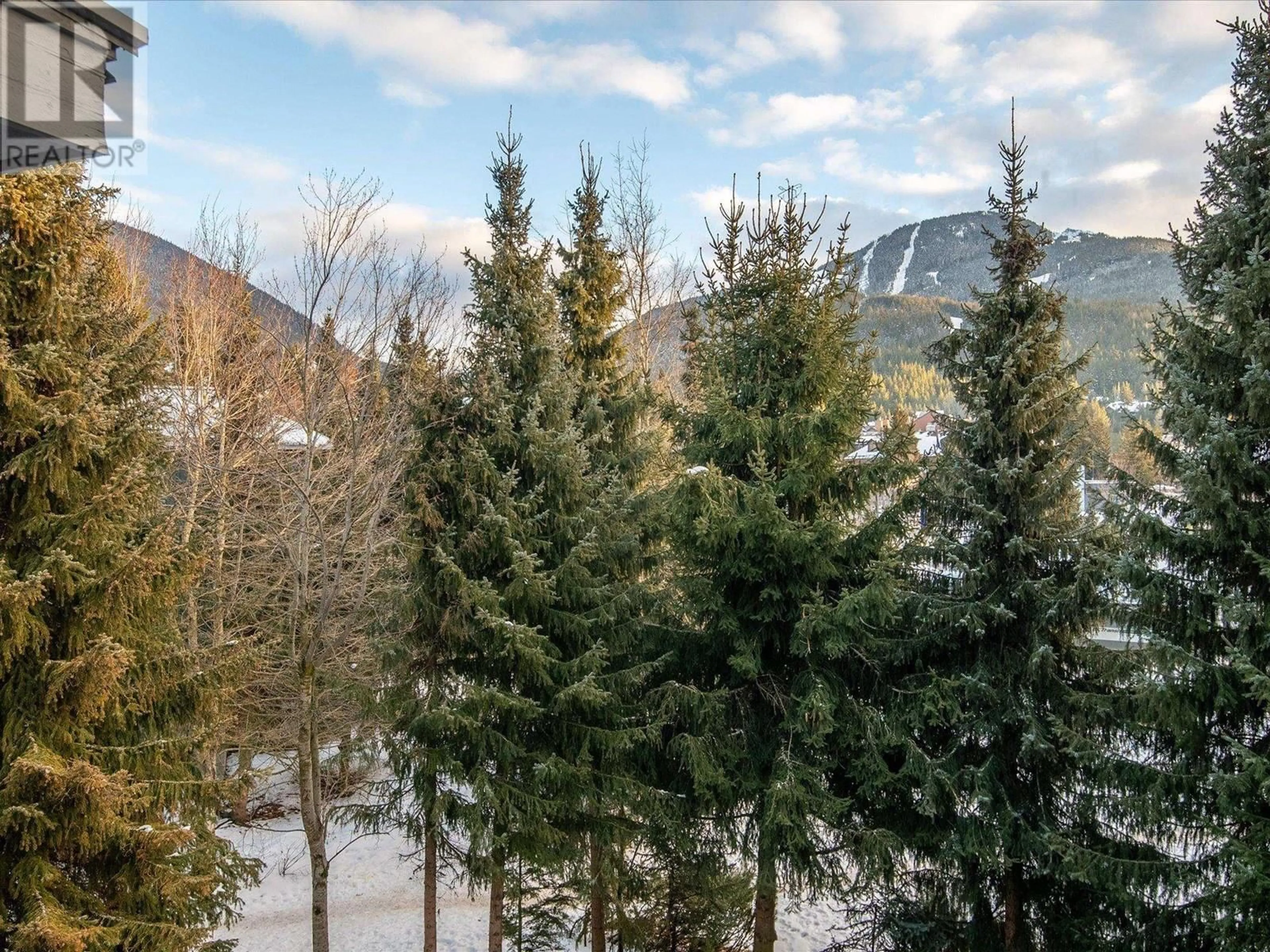 A pic from outside/outdoor area/front of a property/back of a property/a pic from drone, forest/trees view for 2315 4308 MAIN STREET, Whistler British Columbia V8E1A9