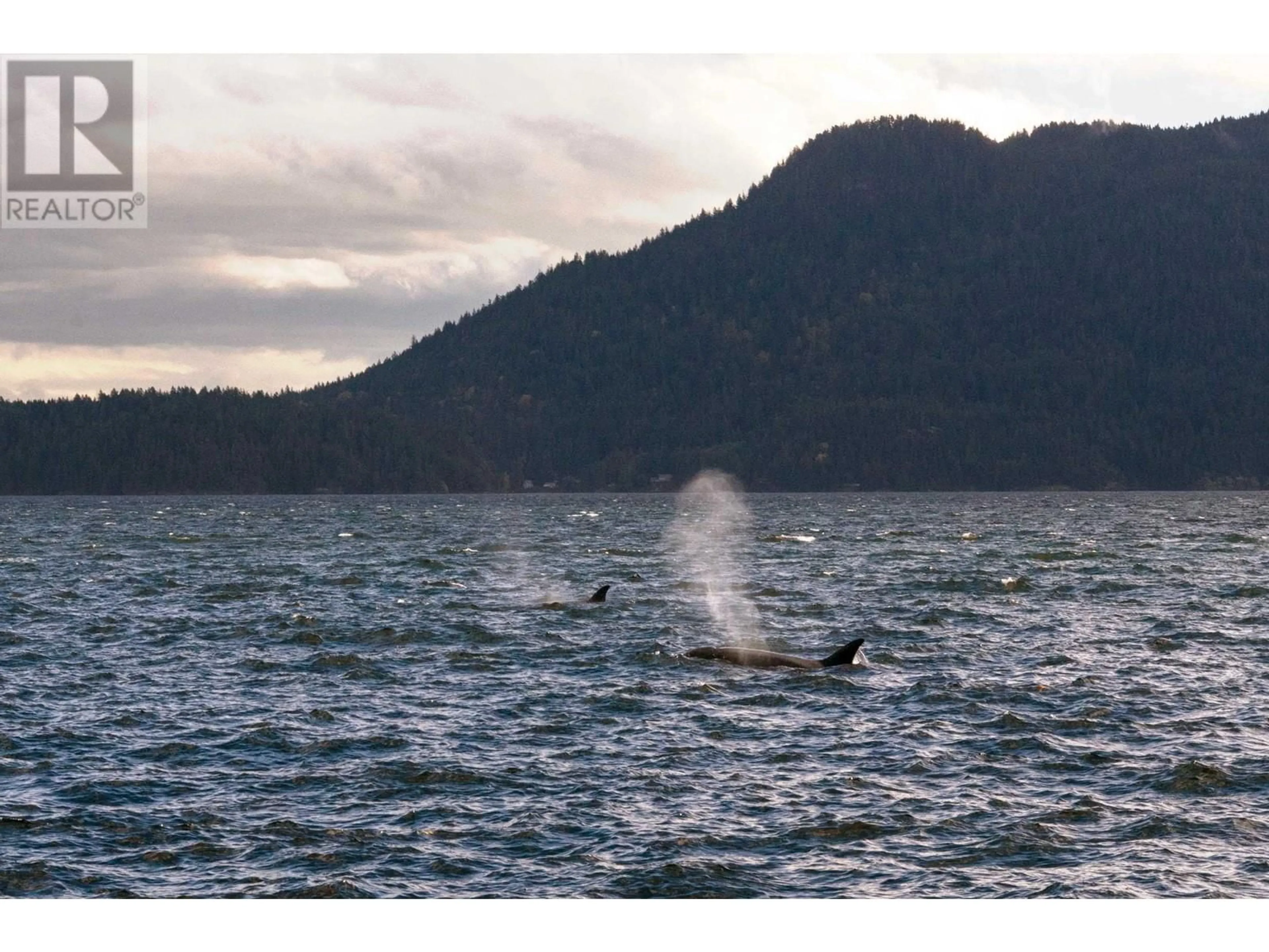 Blurry image for 484 SHAWANABE ROAD, Gambier Island British Columbia V0N1V0