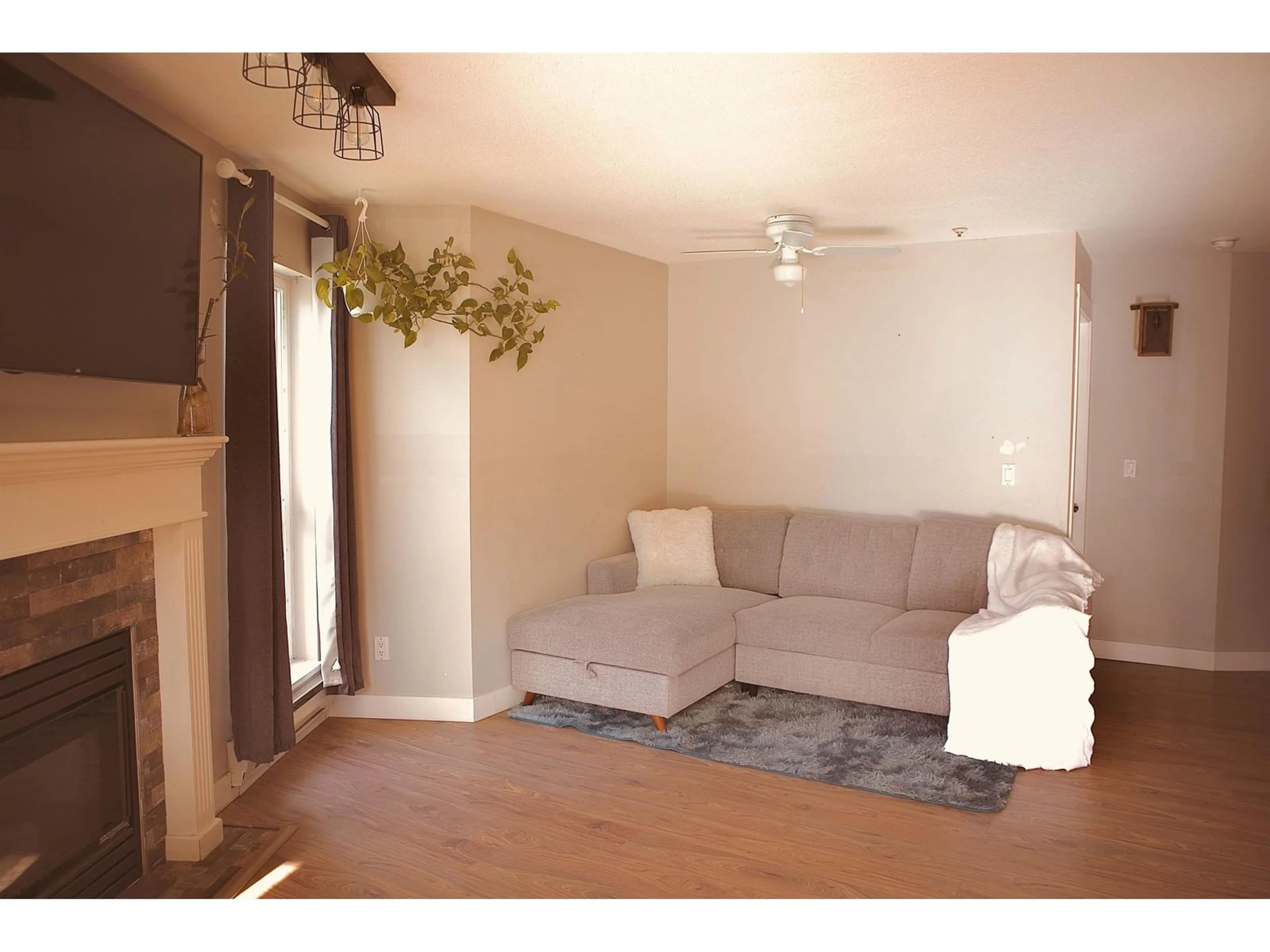 Living room with furniture, wood/laminate floor for 102 - 20245 53, Langley British Columbia V3A3V2