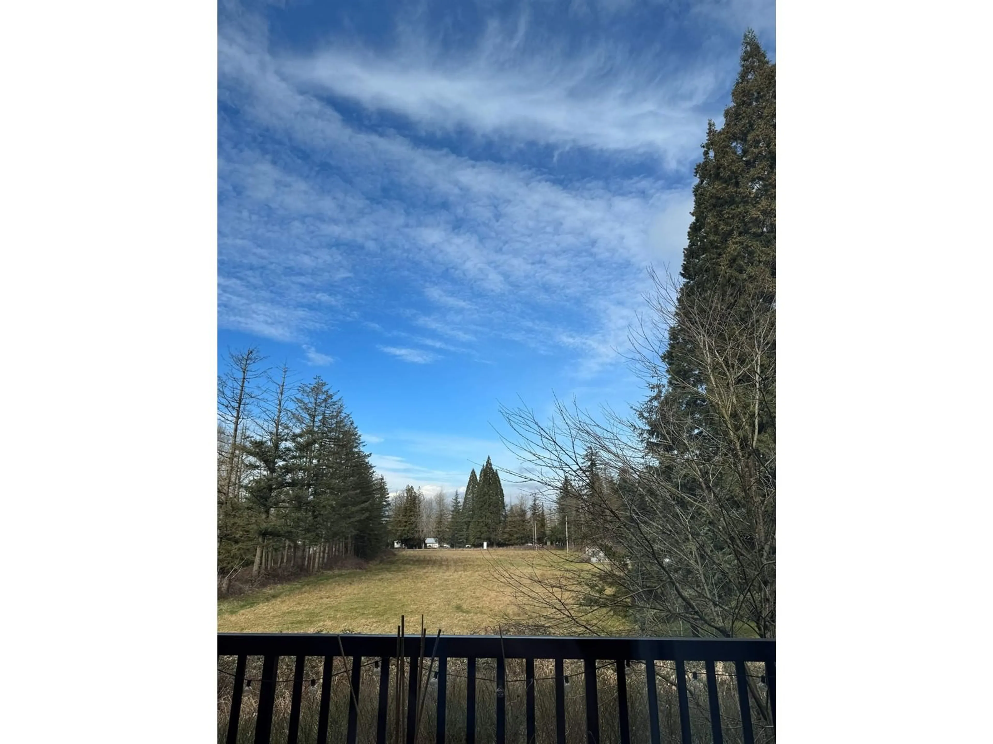 A pic from outside/outdoor area/front of a property/back of a property/a pic from drone, forest/trees view for 94 18983 72A AVENUE, Surrey British Columbia V4N1A5