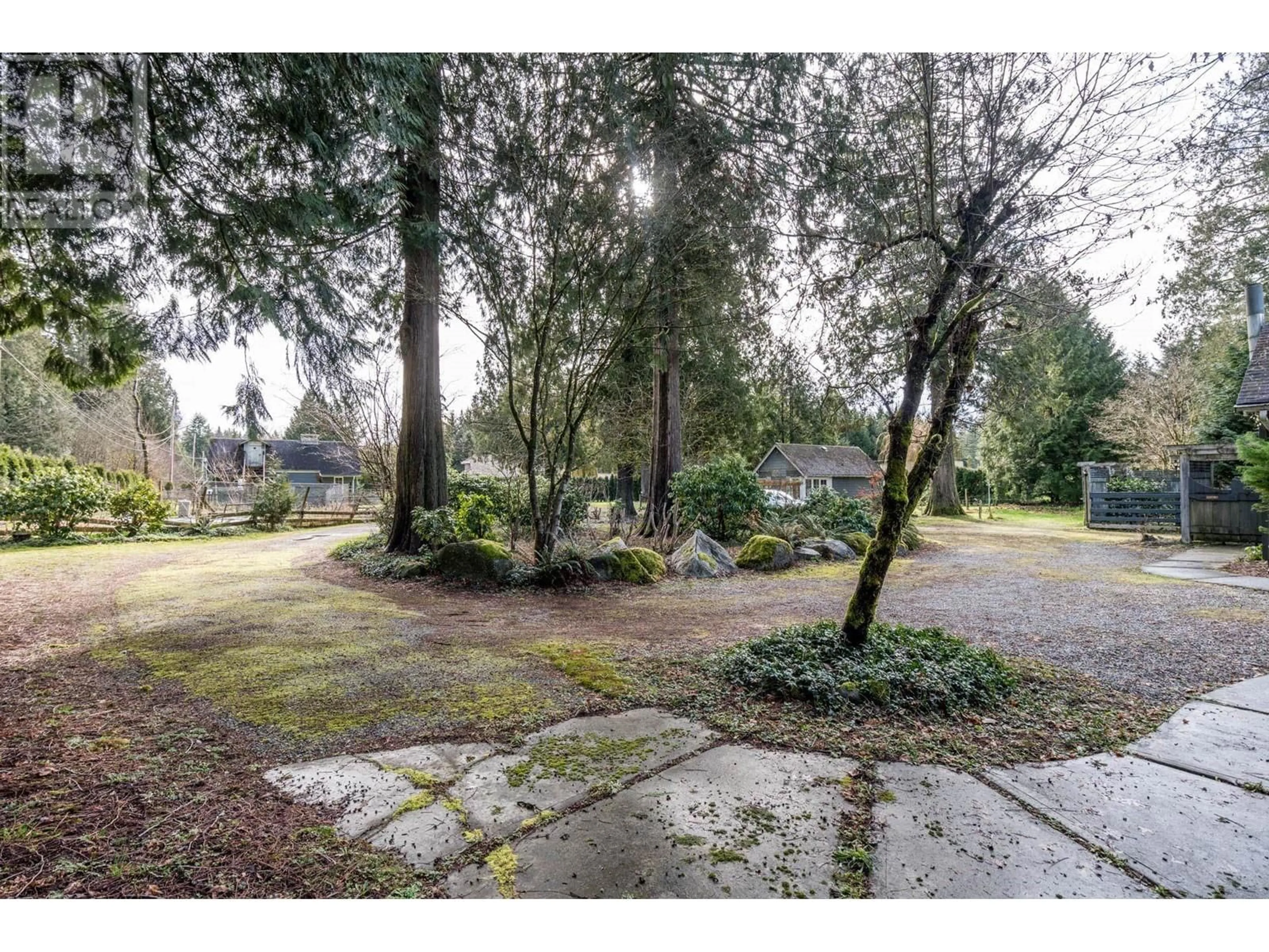 A pic from outside/outdoor area/front of a property/back of a property/a pic from drone, forest/trees view for 12899 230 STREET, Maple Ridge British Columbia V2X0M4