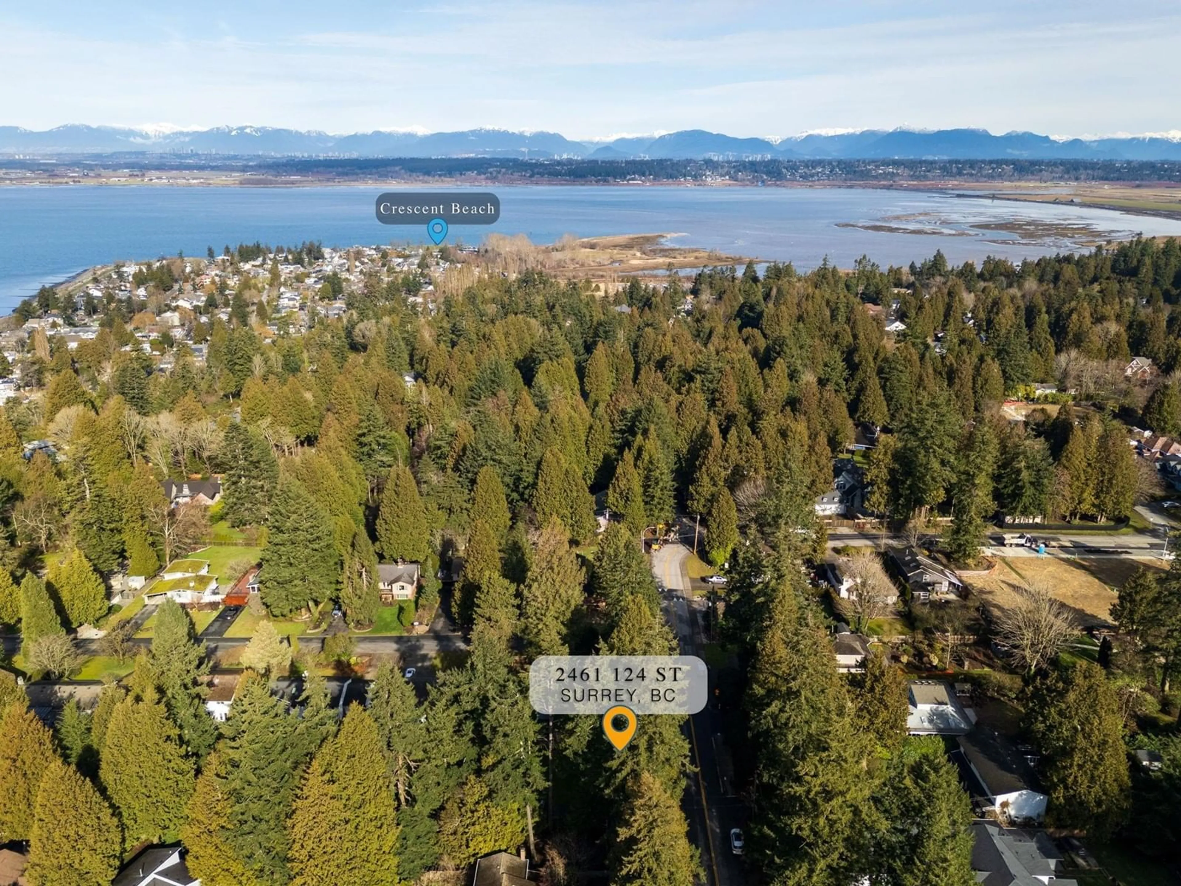 A pic from outside/outdoor area/front of a property/back of a property/a pic from drone, water/lake/river/ocean view for 2461 124TH STREET, Surrey British Columbia V4A3N1