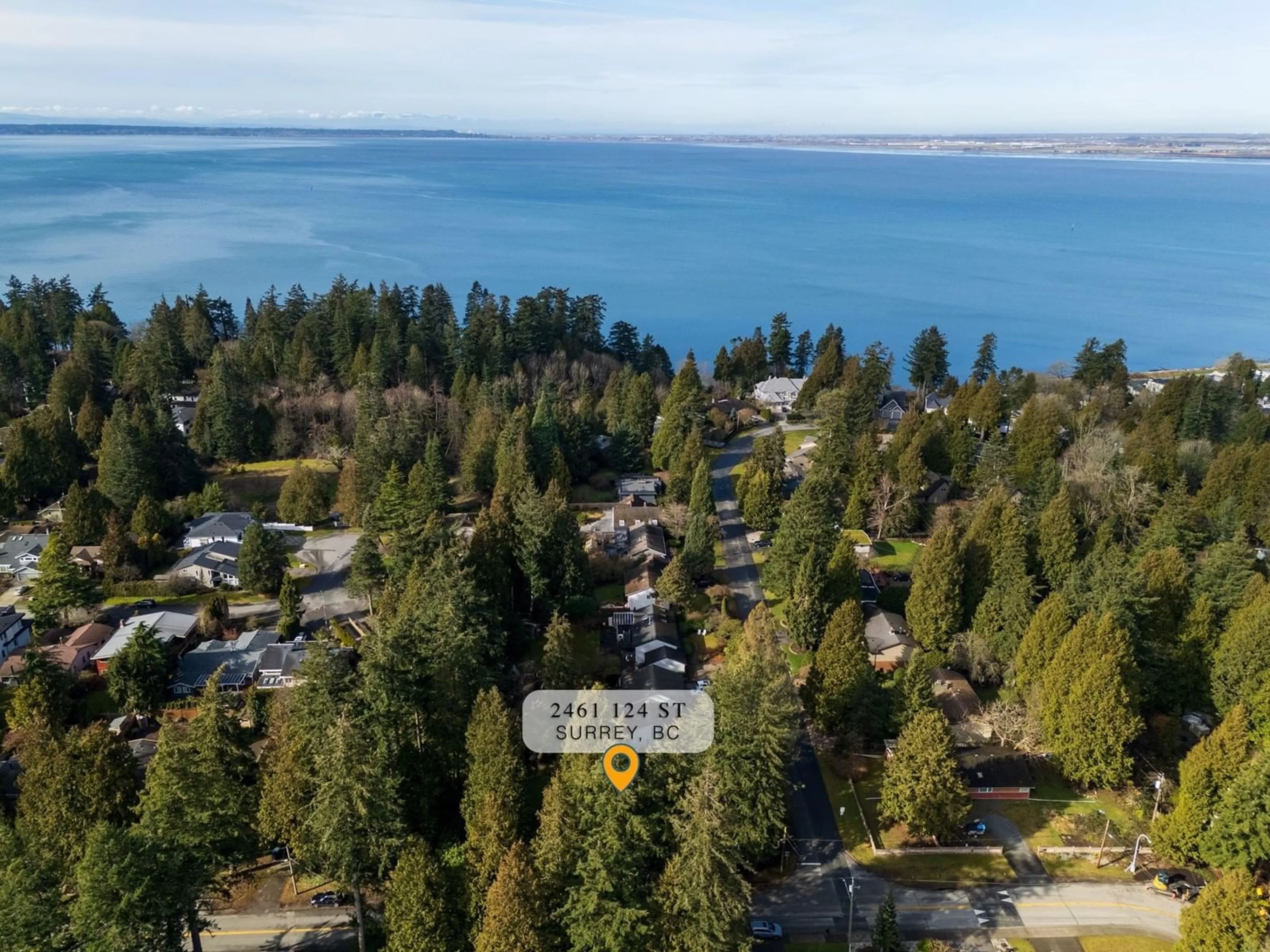 A pic from outside/outdoor area/front of a property/back of a property/a pic from drone, water/lake/river/ocean view for 2461 124TH STREET, Surrey British Columbia V4A3N1