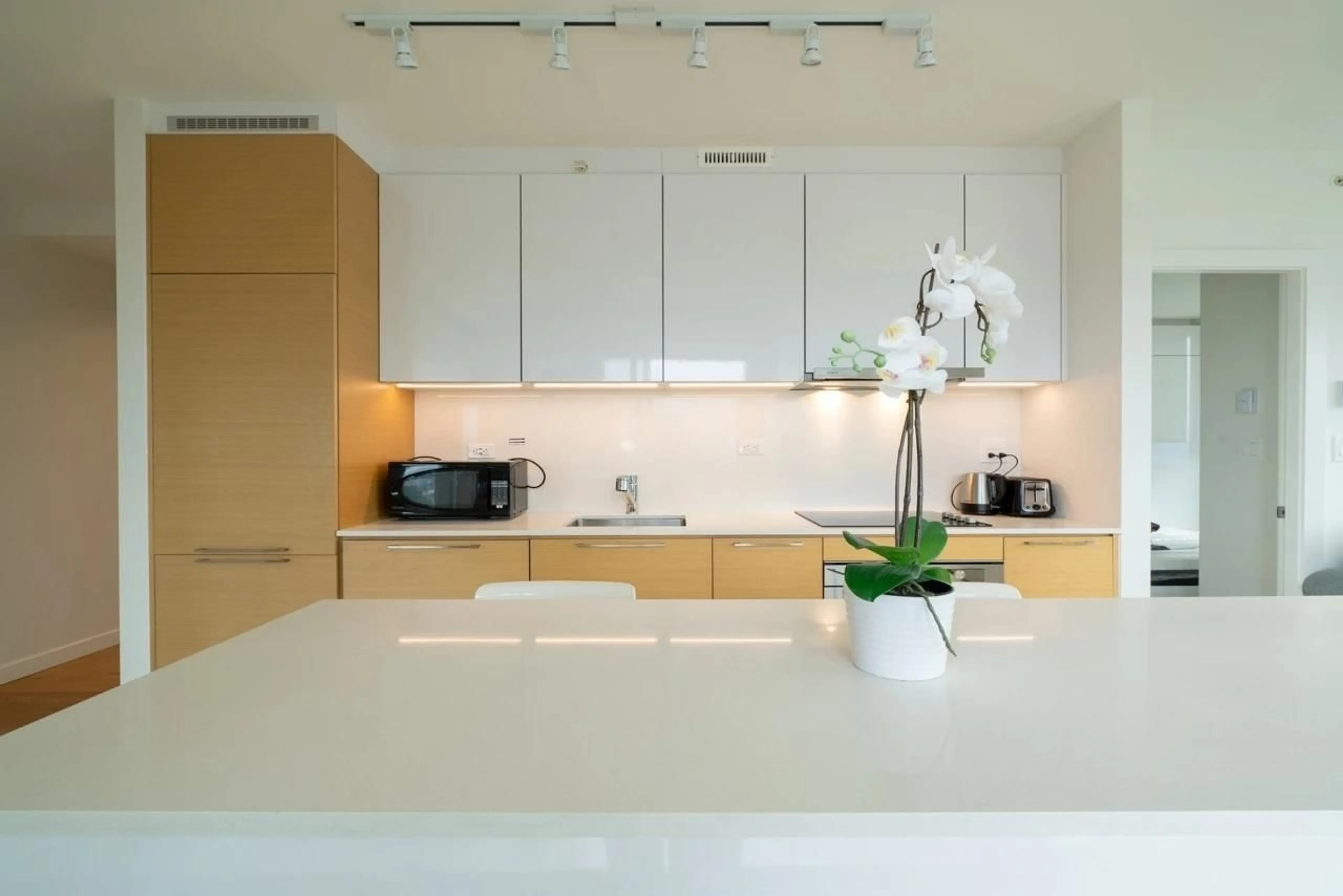 Contemporary kitchen, unknown for 1806 13438 CENTRAL AVENUE, Surrey British Columbia V3T0N2