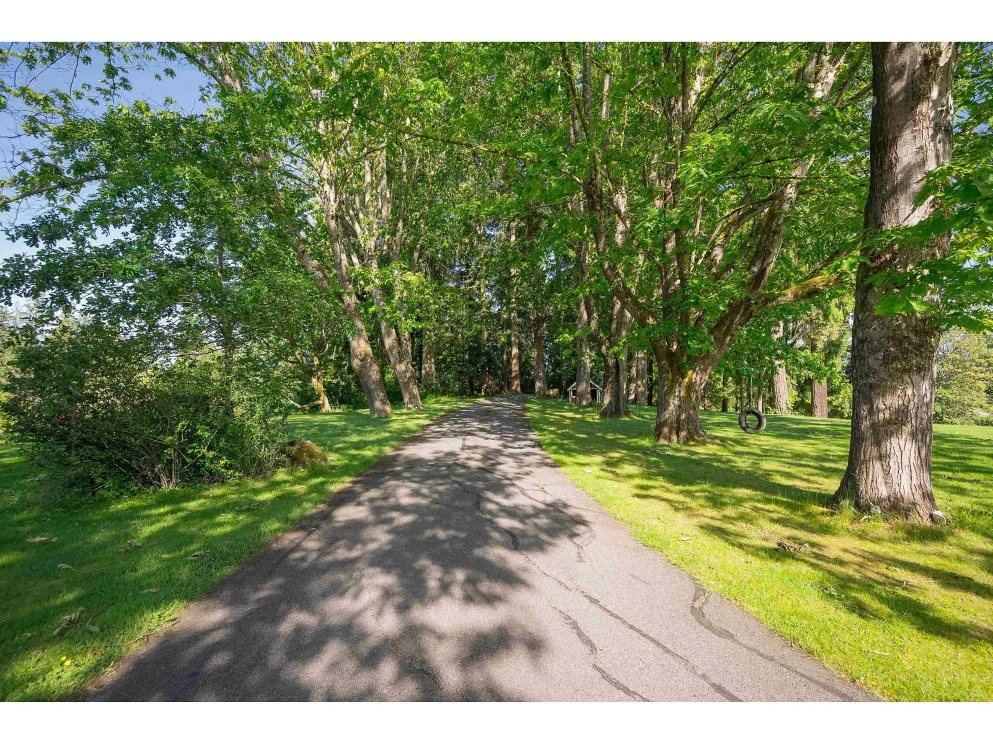 A pic from outside/outdoor area/front of a property/back of a property/a pic from drone, forest/trees view for 9375 222, Langley British Columbia V1M3T7