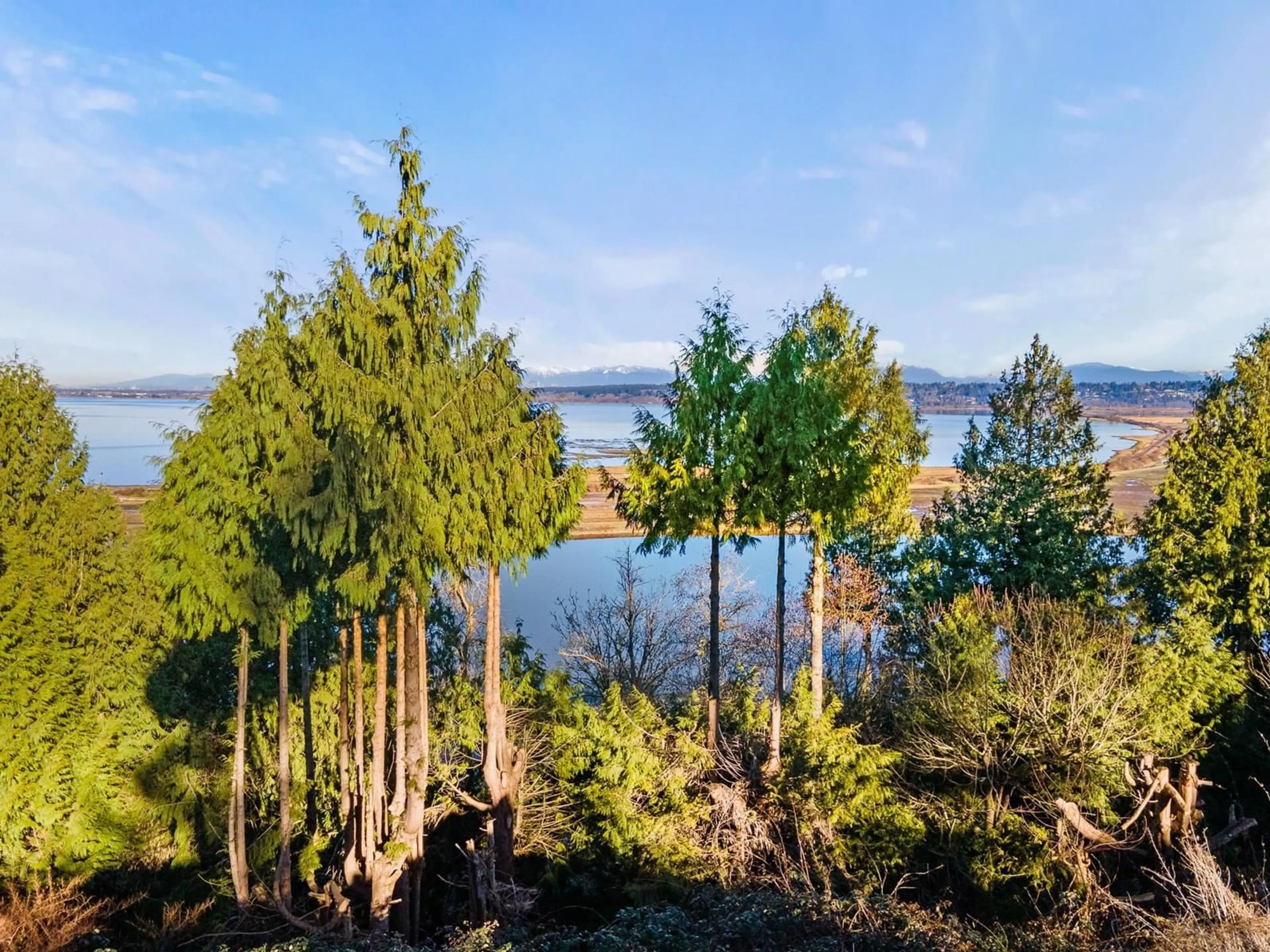 A pic from outside/outdoor area/front of a property/back of a property/a pic from drone, water/lake/river/ocean view for 13021 CRESCENT, Surrey British Columbia V4P1J6