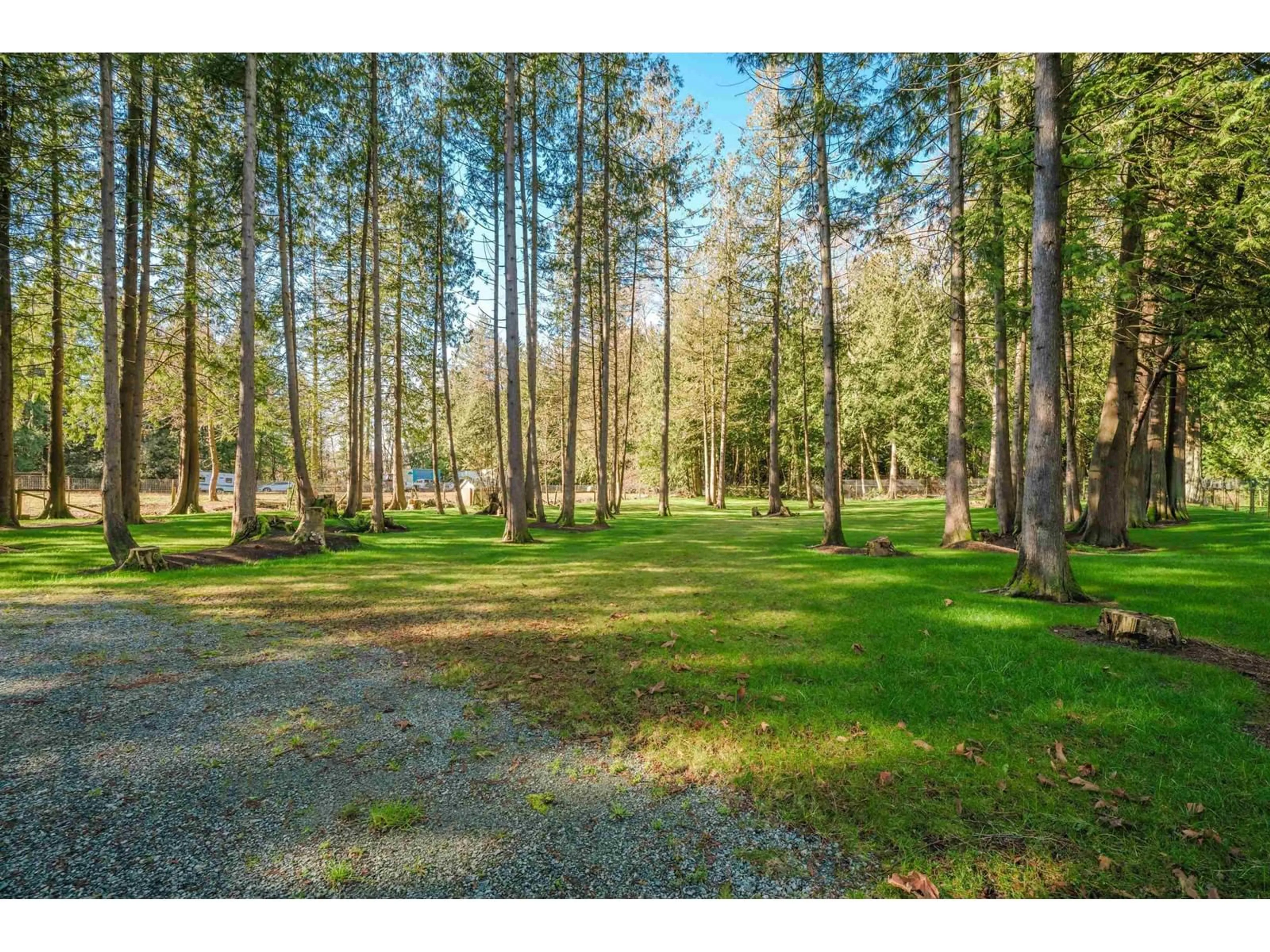 A pic from outside/outdoor area/front of a property/back of a property/a pic from drone, forest/trees view for 3955 248, Langley British Columbia V4W2B3